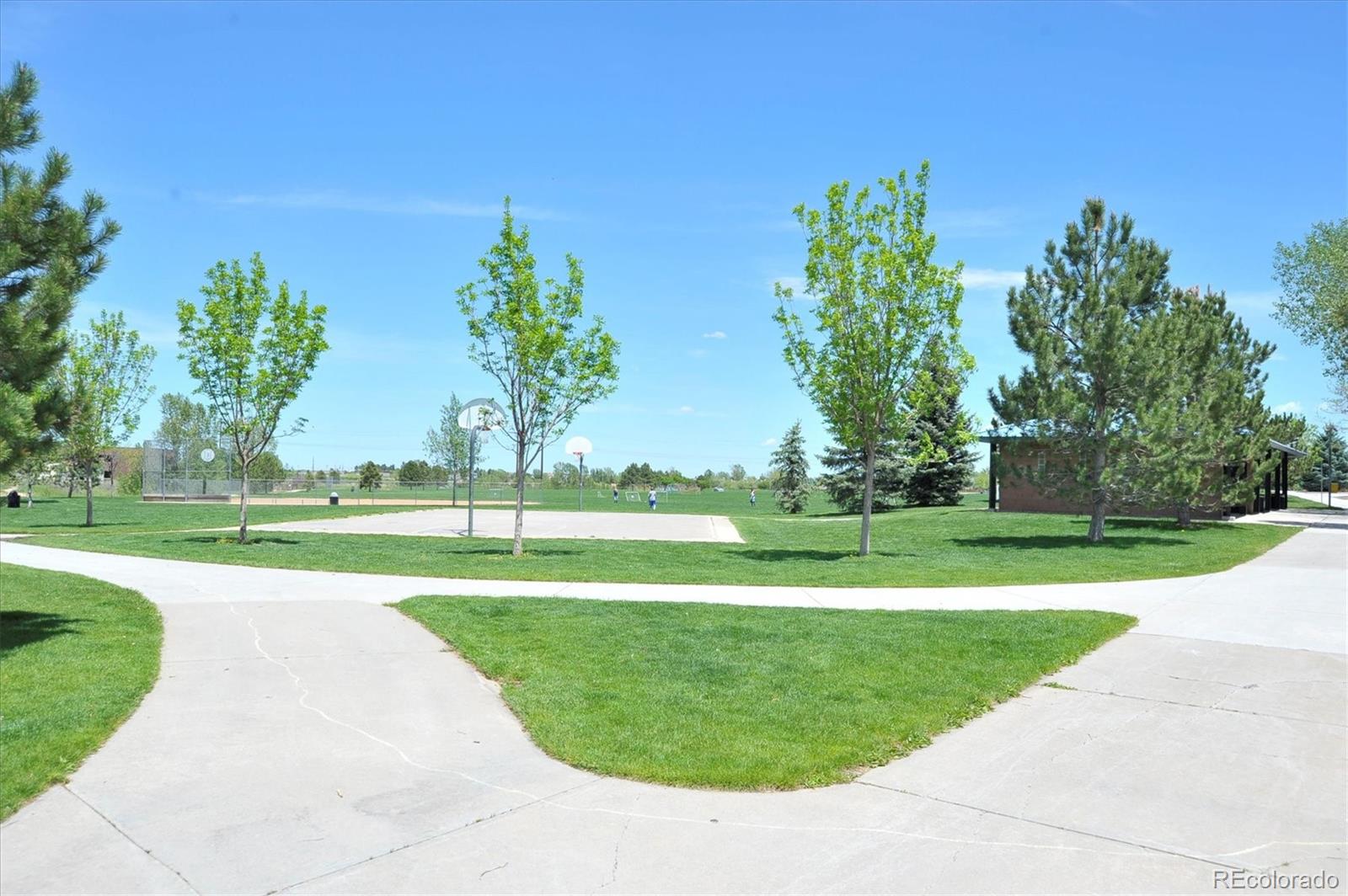 MLS Image #35 for 5282  devon avenue,castle rock, Colorado