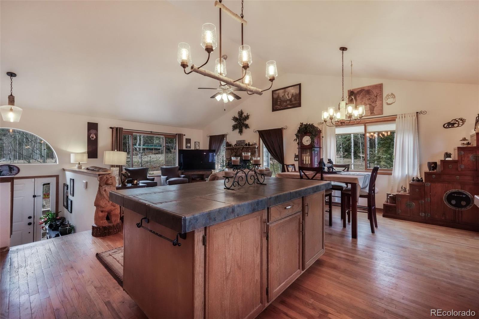 MLS Image #12 for 250  bridle drive,woodland park, Colorado