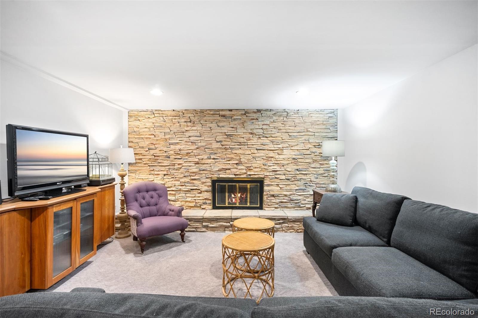 MLS Image #26 for 1100  pontiac street,denver, Colorado