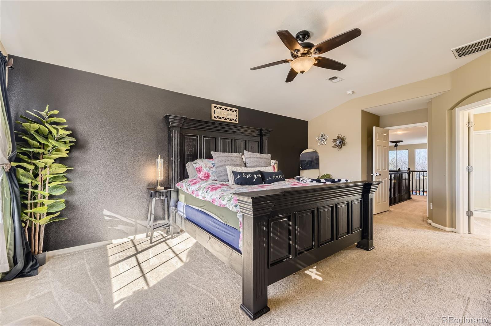 MLS Image #15 for 7378  geode court,castle rock, Colorado