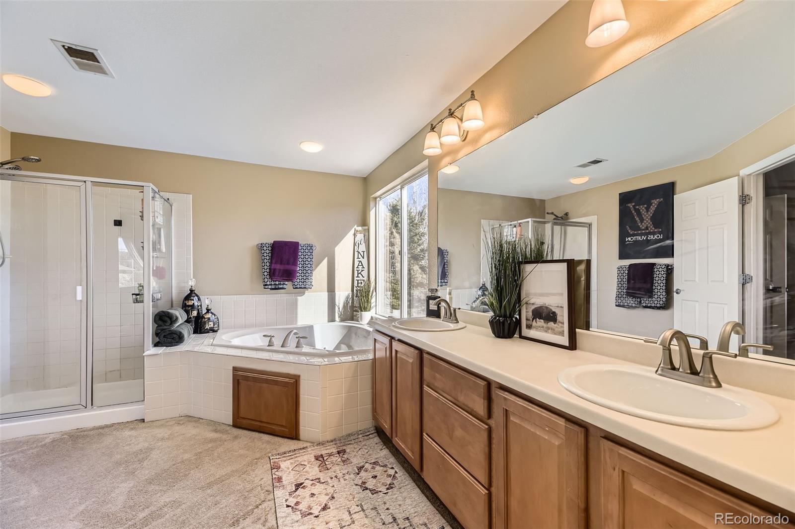 MLS Image #18 for 7378  geode court,castle rock, Colorado