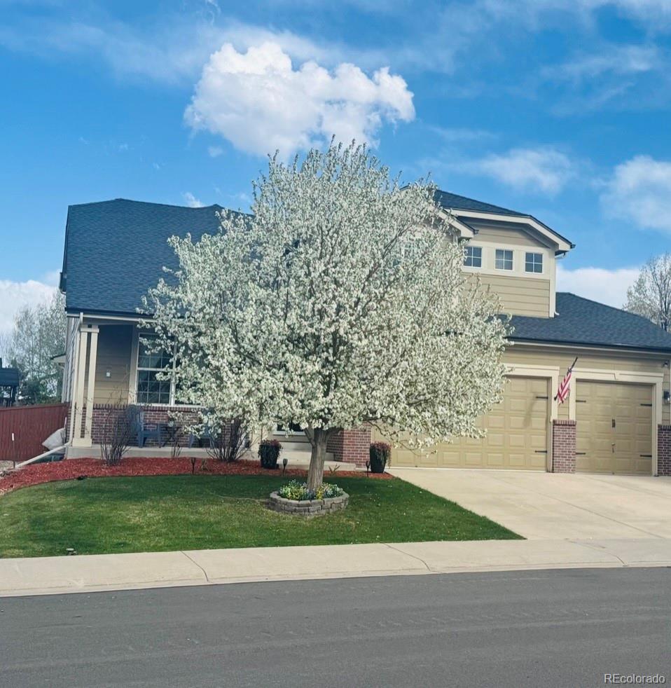 MLS Image #2 for 7378  geode court,castle rock, Colorado