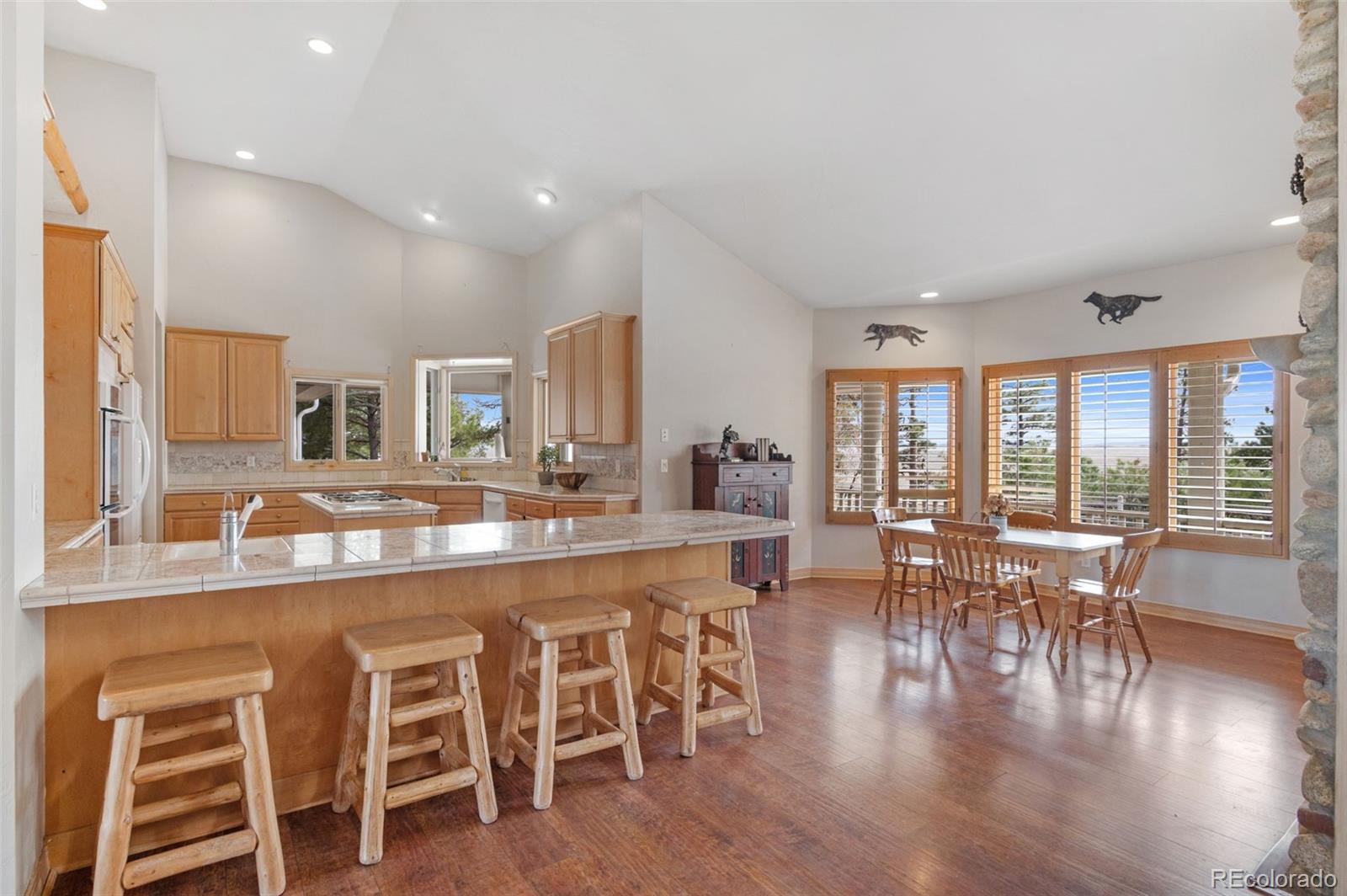 MLS Image #10 for 30200  magic dog circle,kiowa, Colorado