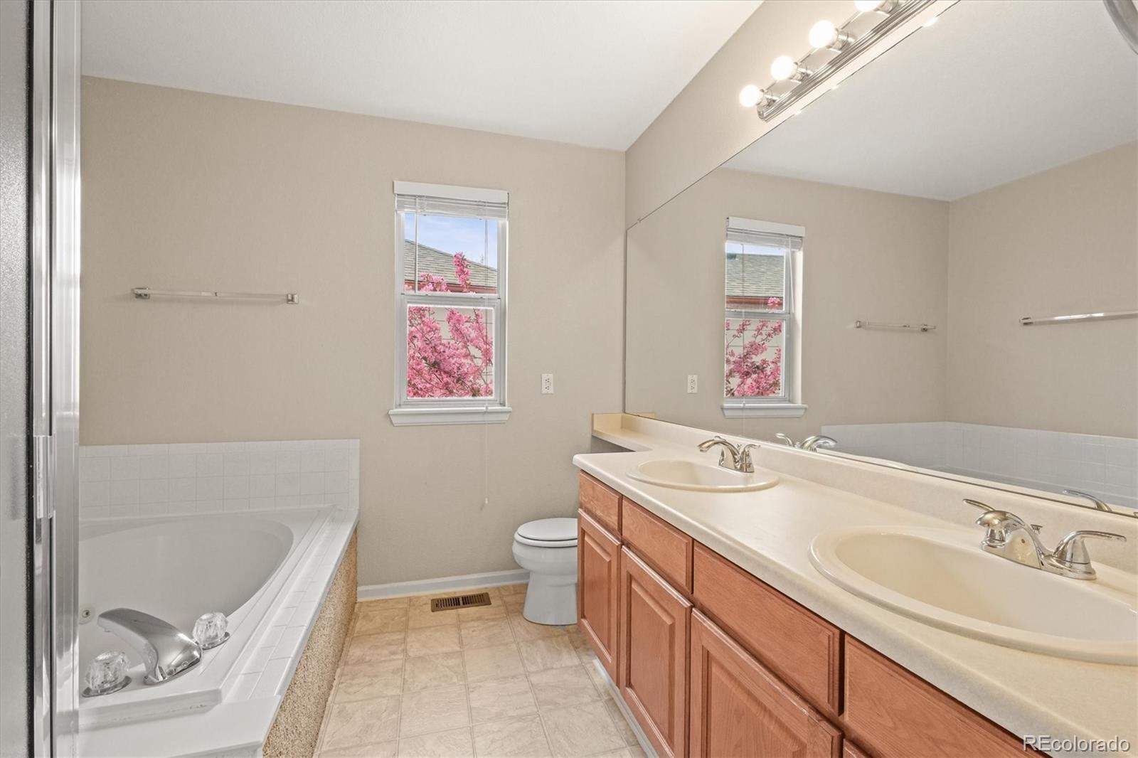MLS Image #22 for 10193 e woodrose court,highlands ranch, Colorado