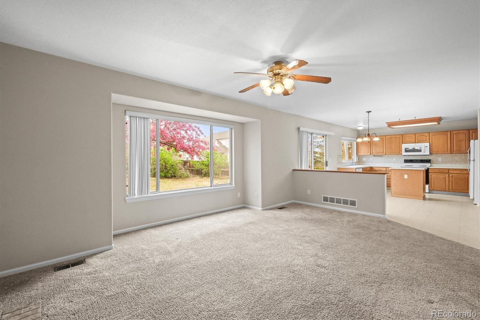 MLS Image #9 for 10193 e woodrose court,highlands ranch, Colorado