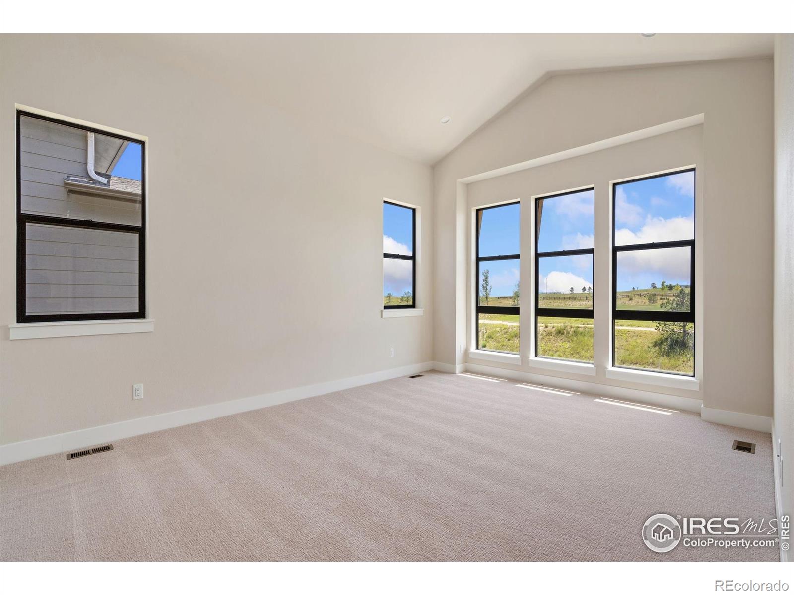 MLS Image #7 for 1653  flourish drive,windsor, Colorado