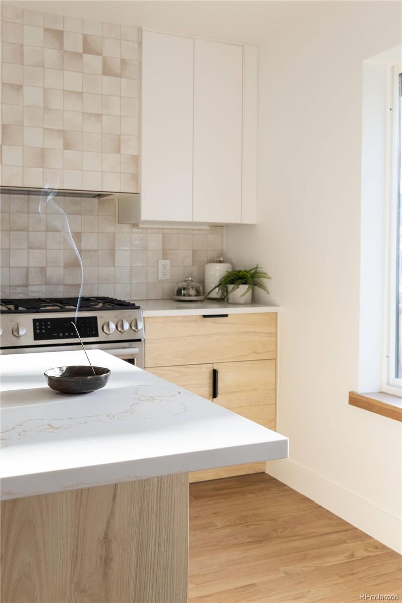 MLS Image #12 for 4631  zuni street,denver, Colorado