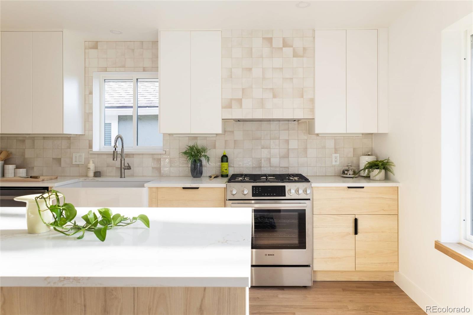 MLS Image #13 for 4631  zuni street,denver, Colorado
