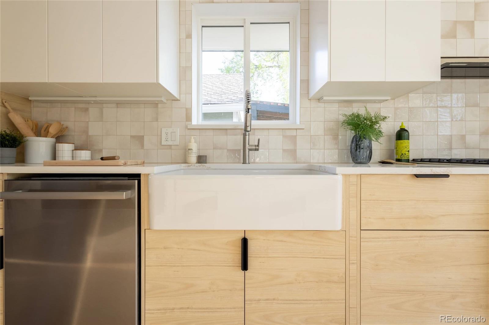 MLS Image #14 for 4631  zuni street,denver, Colorado