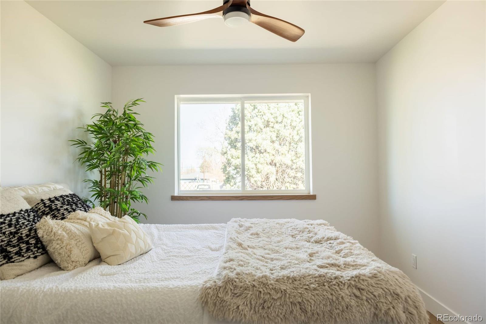 MLS Image #15 for 4631  zuni street,denver, Colorado