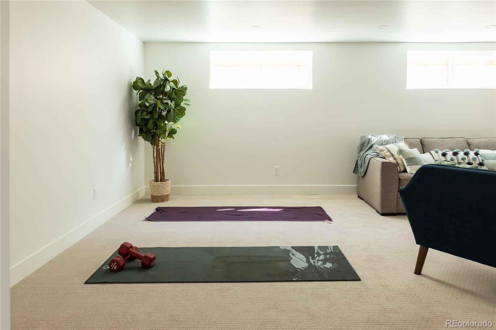 MLS Image #34 for 4631  zuni street,denver, Colorado