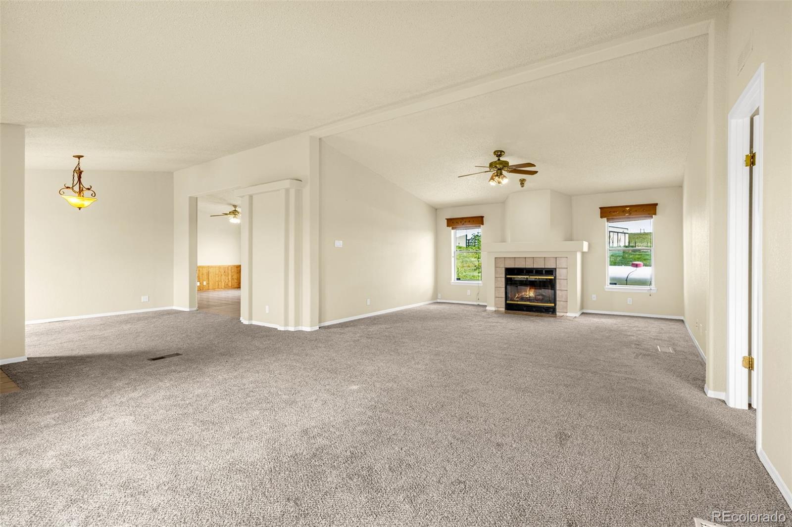 MLS Image #5 for 12625  safe landing drive,peyton, Colorado