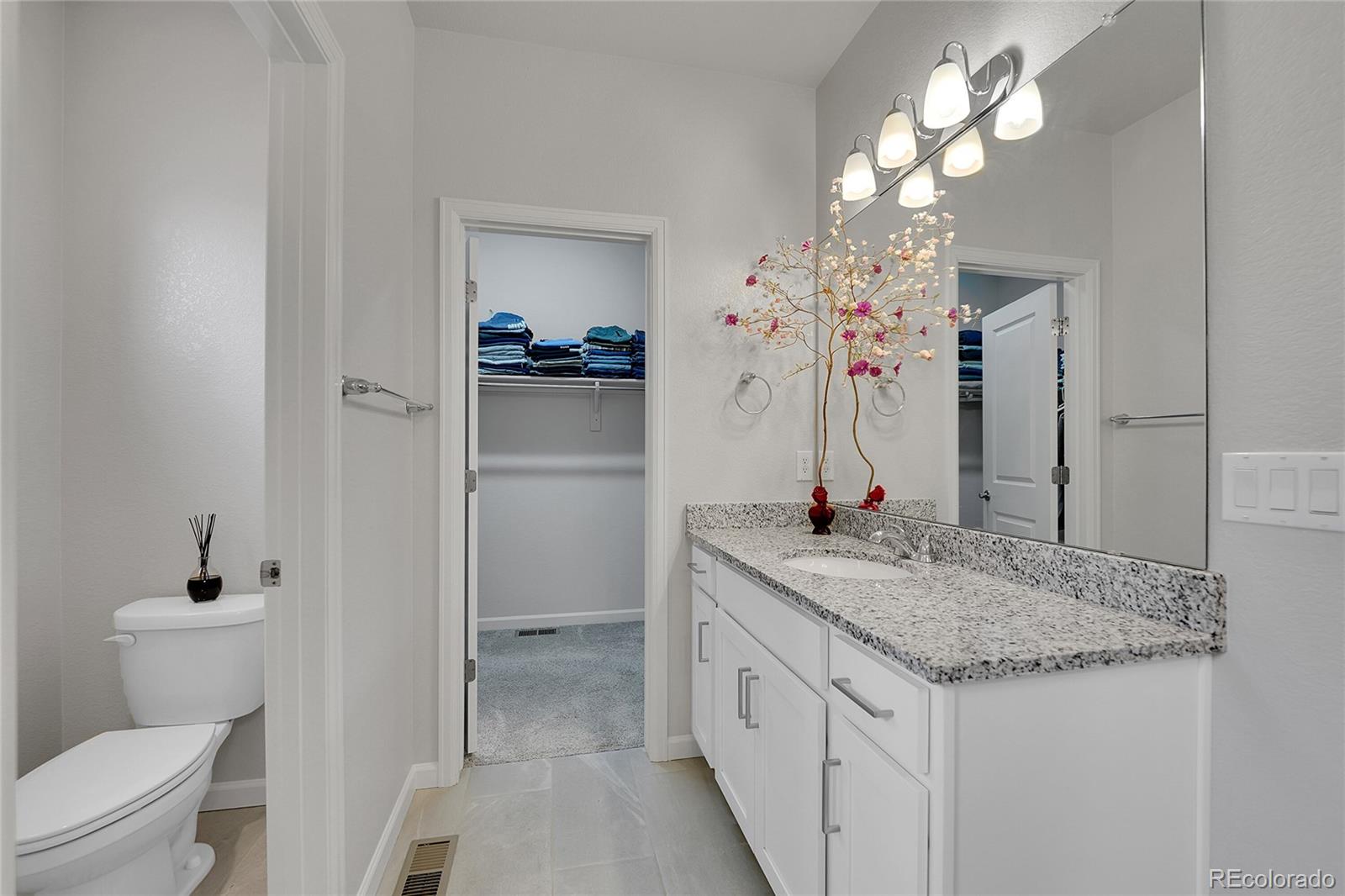 MLS Image #14 for 18335 w 94th avenue,arvada, Colorado