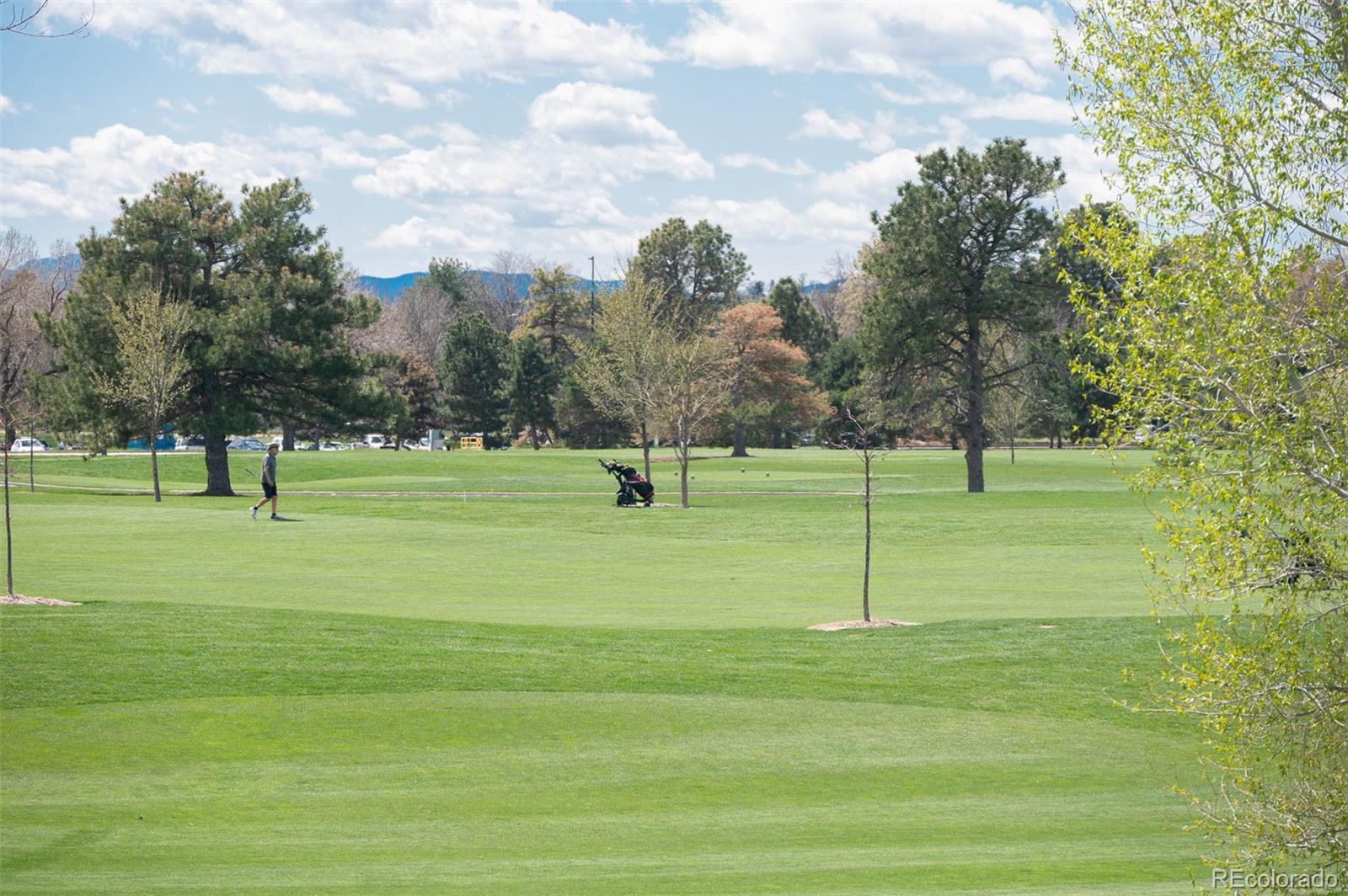 MLS Image #44 for 3811 e 26th avenue parkway,denver, Colorado