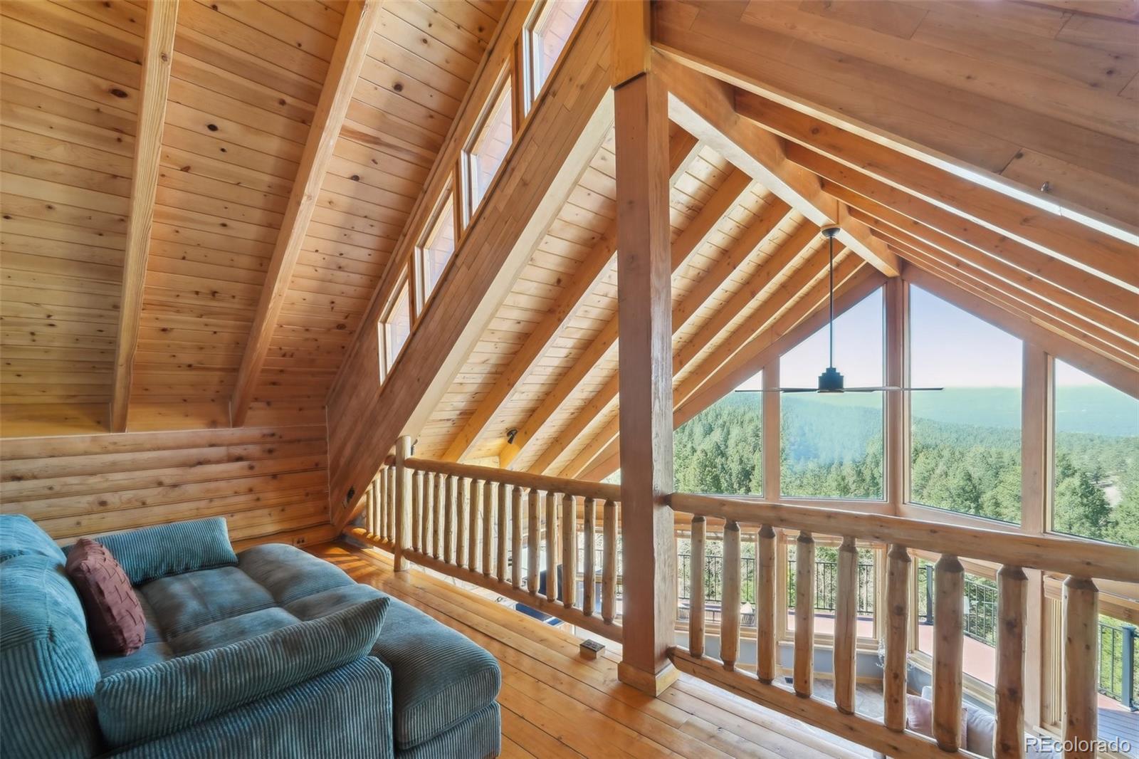 MLS Image #19 for 102  douglas fir lane,woodland park, Colorado