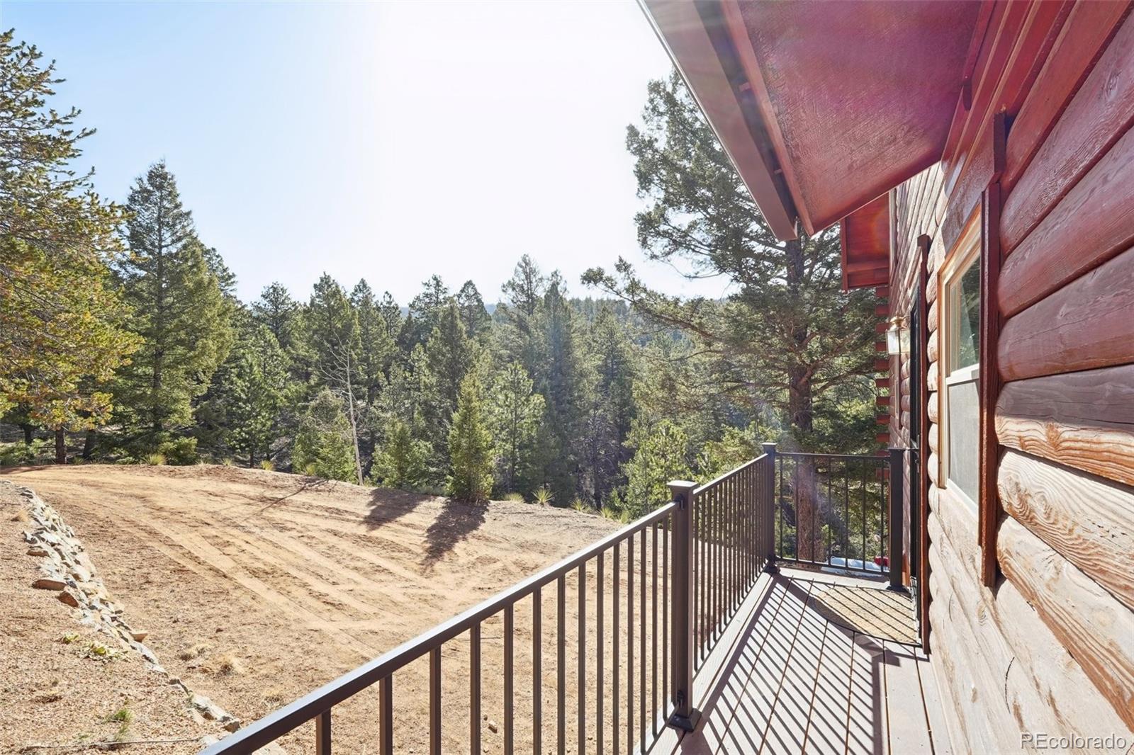 MLS Image #2 for 102  douglas fir lane,woodland park, Colorado