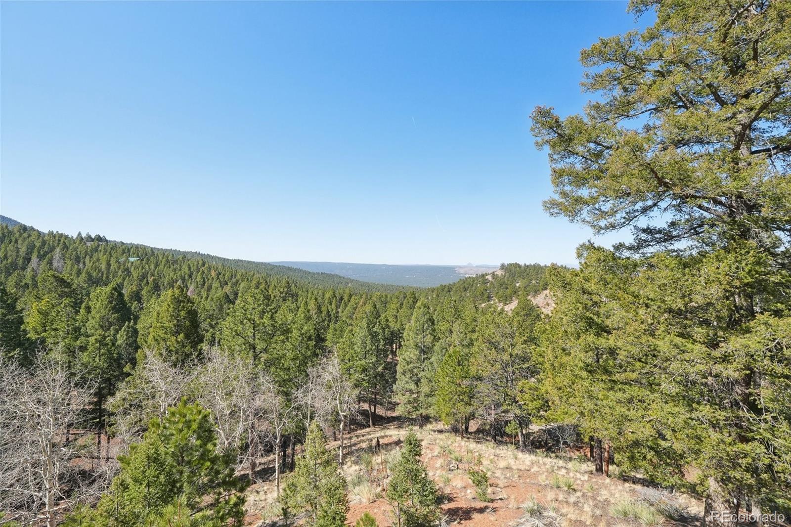 MLS Image #25 for 102  douglas fir lane,woodland park, Colorado
