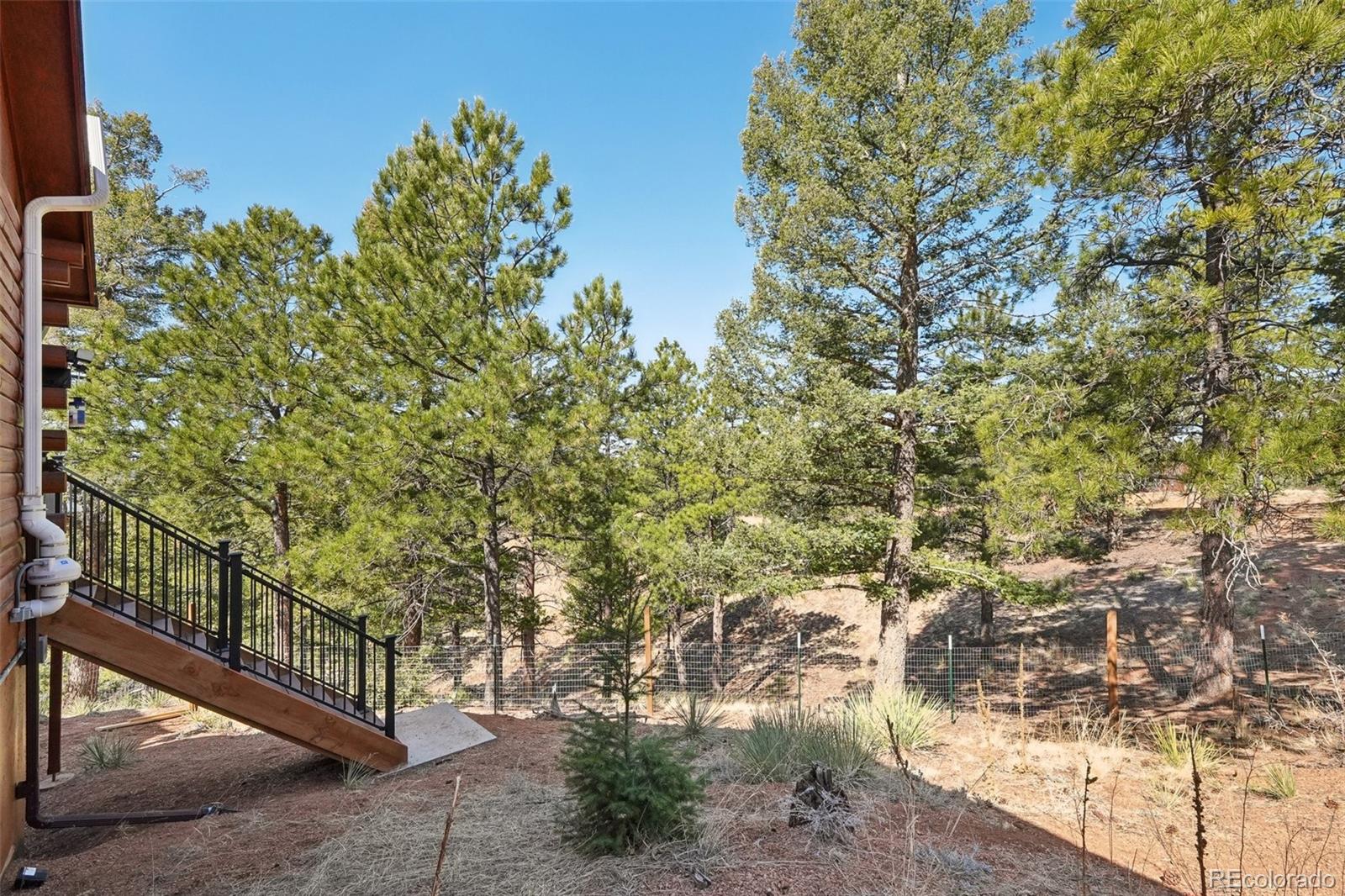 MLS Image #26 for 102  douglas fir lane,woodland park, Colorado