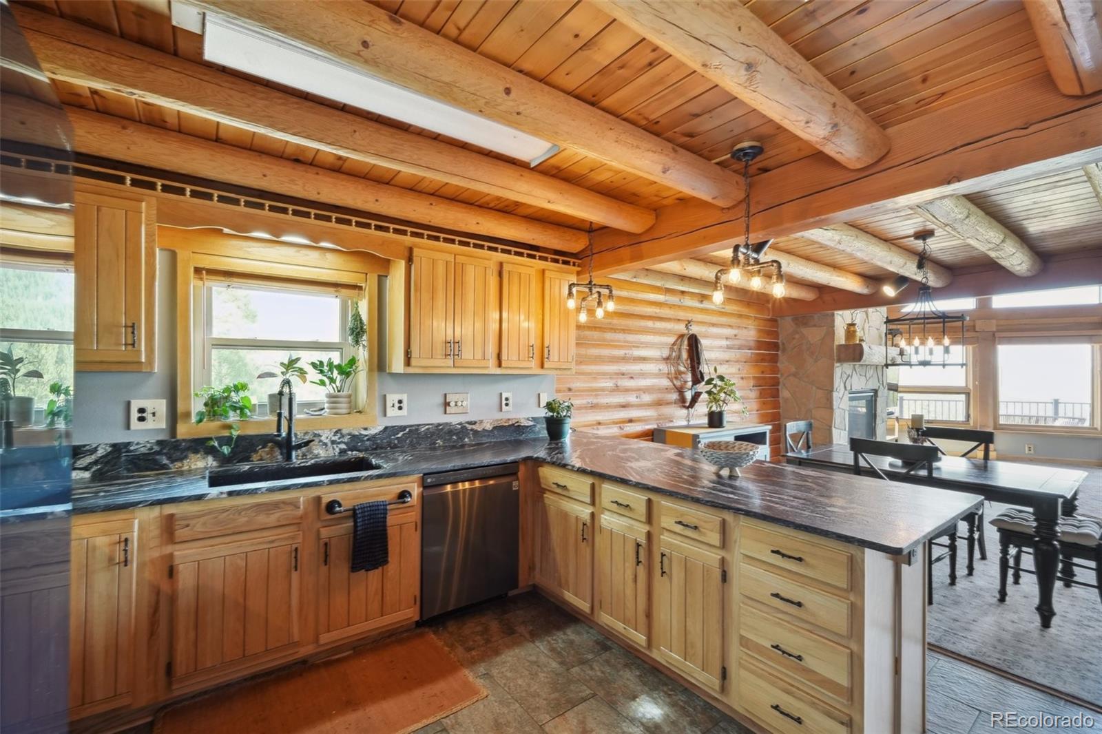 MLS Image #5 for 102  douglas fir lane,woodland park, Colorado