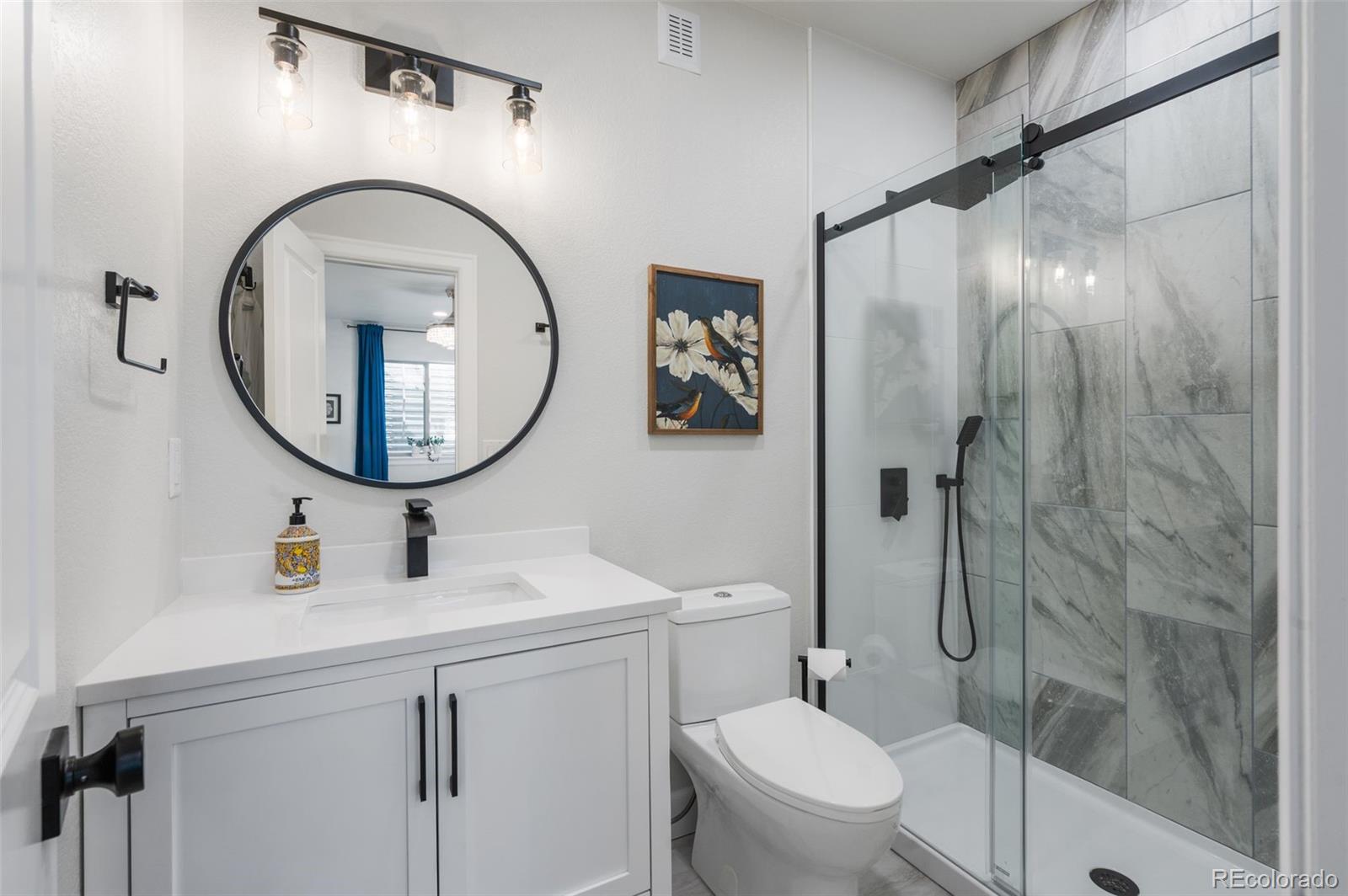 MLS Image #35 for 9724  cantabria point,lone tree, Colorado