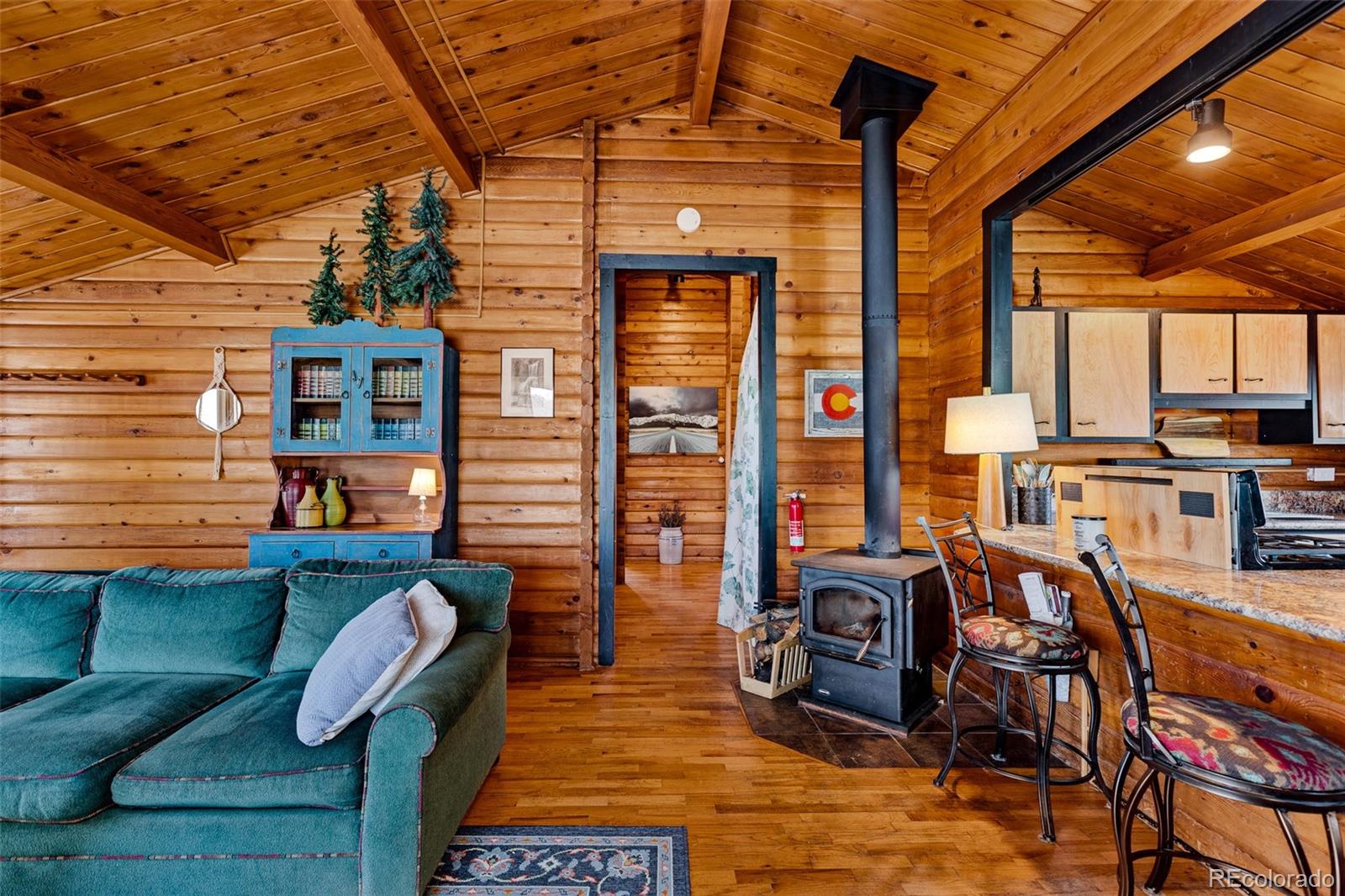 MLS Image #3 for 604  silverheels circle,fairplay, Colorado