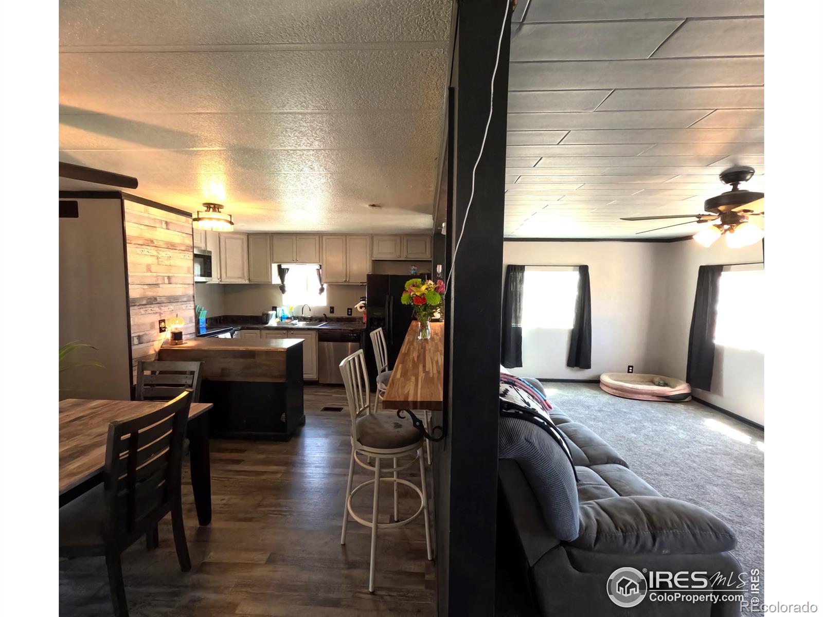 MLS Image #10 for 218  crest drive,log lane village, Colorado