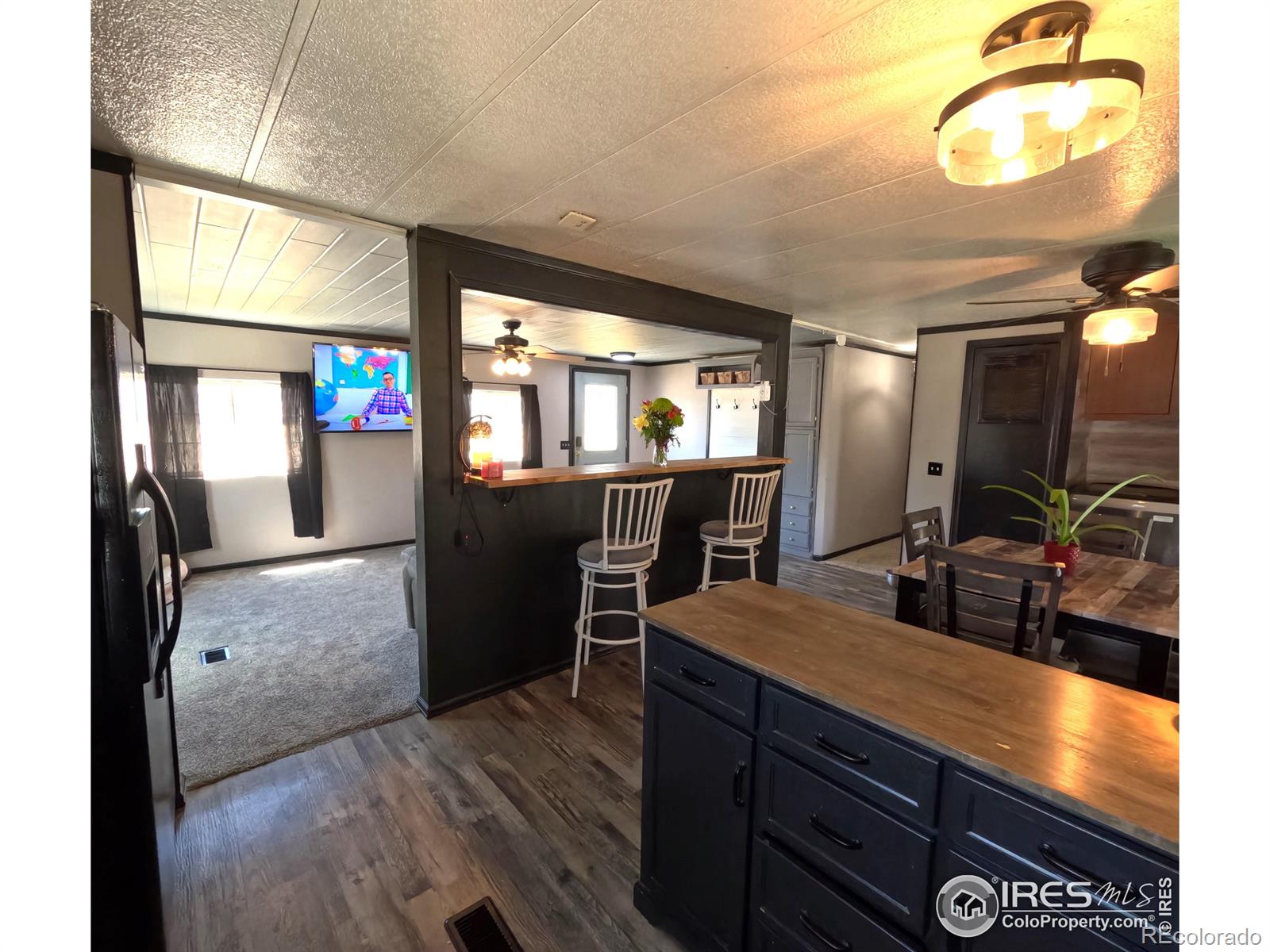 MLS Image #11 for 218  crest drive,log lane village, Colorado