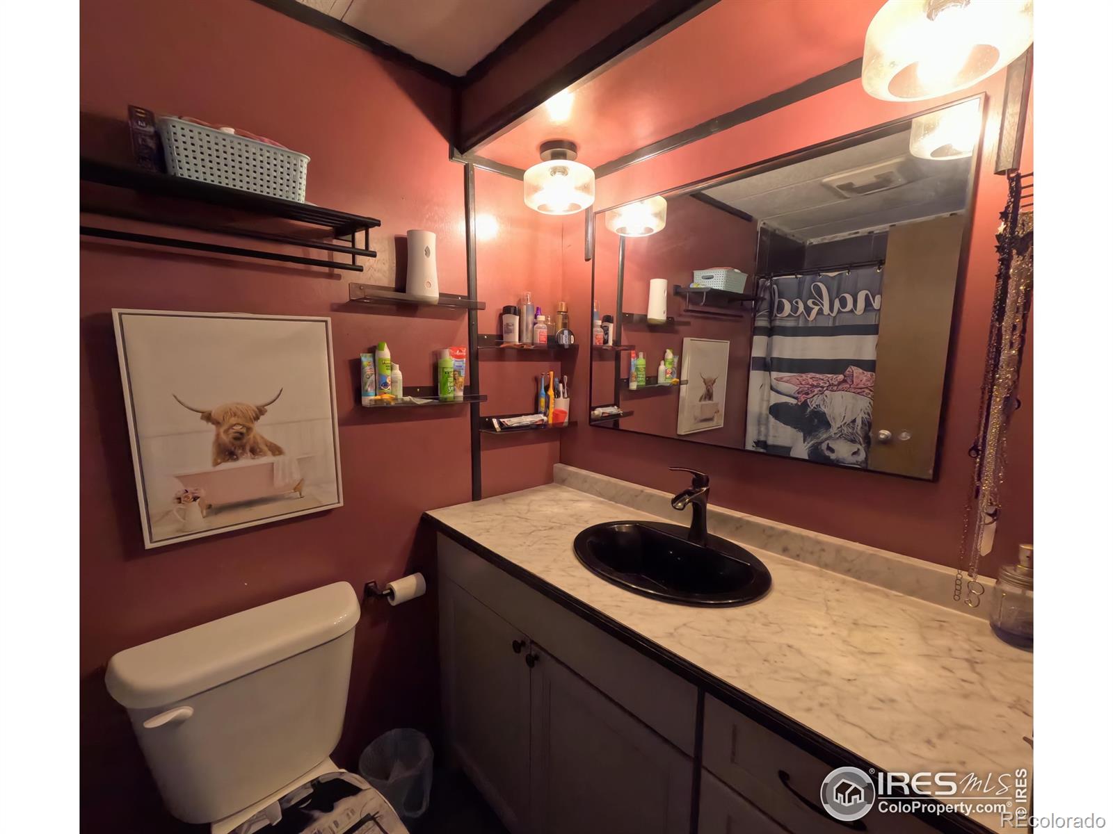 MLS Image #20 for 218  crest drive,log lane village, Colorado