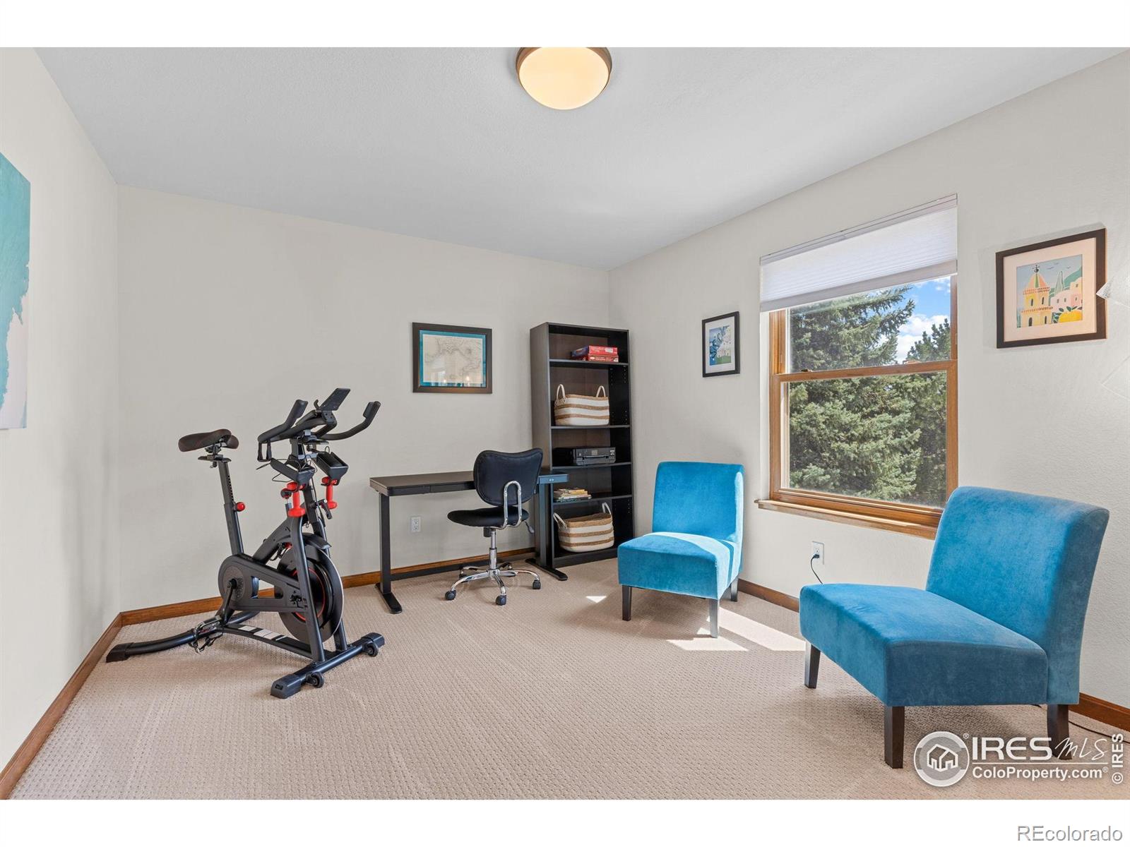 MLS Image #27 for 4207  birdie court,longmont, Colorado