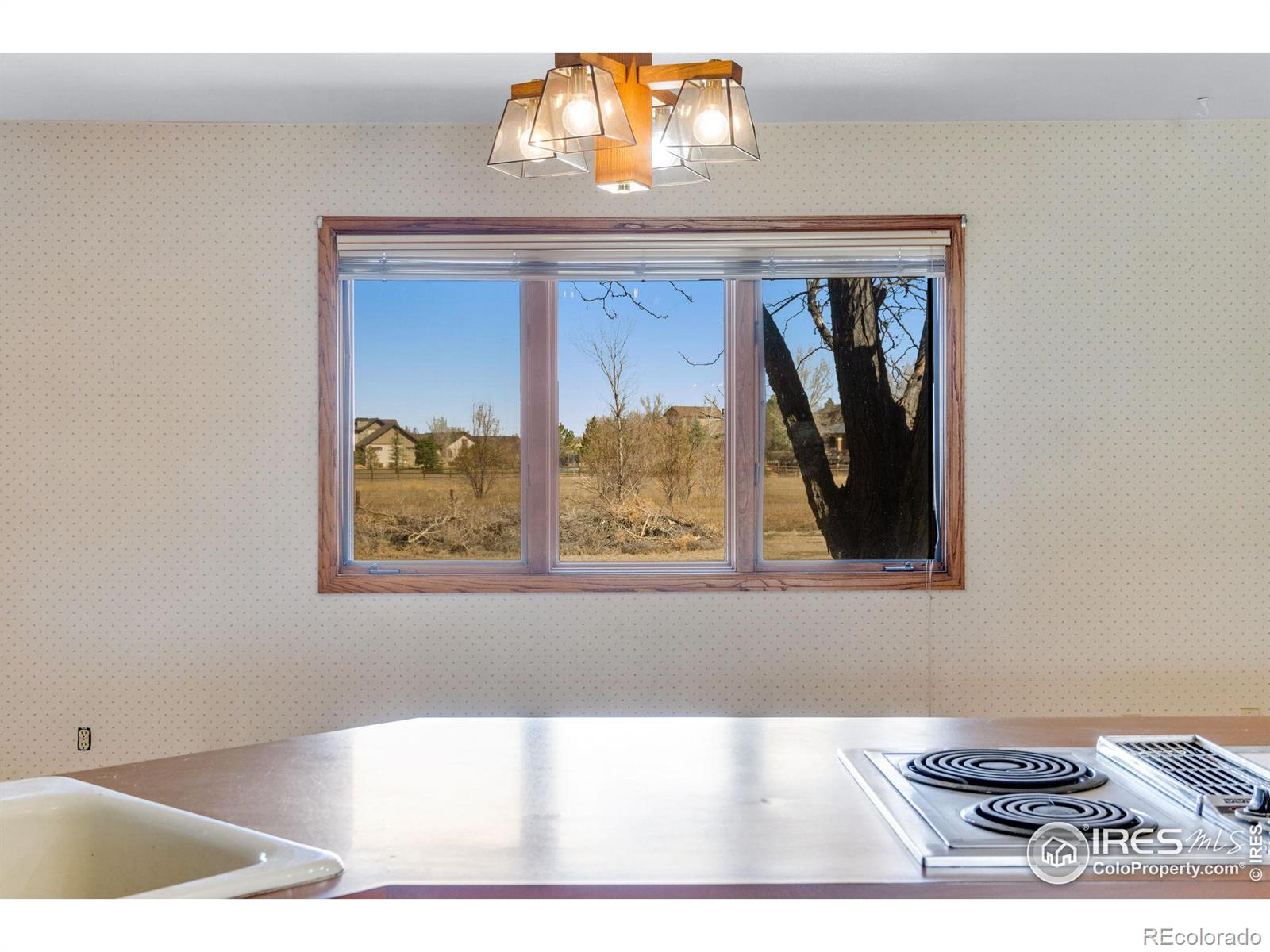 MLS Image #20 for 5700 e county road 48 ,fort collins, Colorado