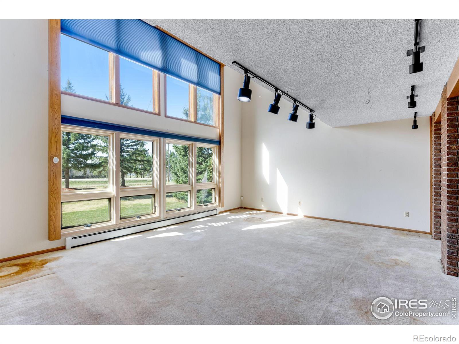 MLS Image #6 for 5700 e county road 48 ,fort collins, Colorado