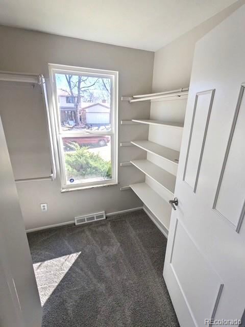 MLS Image #17 for 6267 s albion court,centennial, Colorado