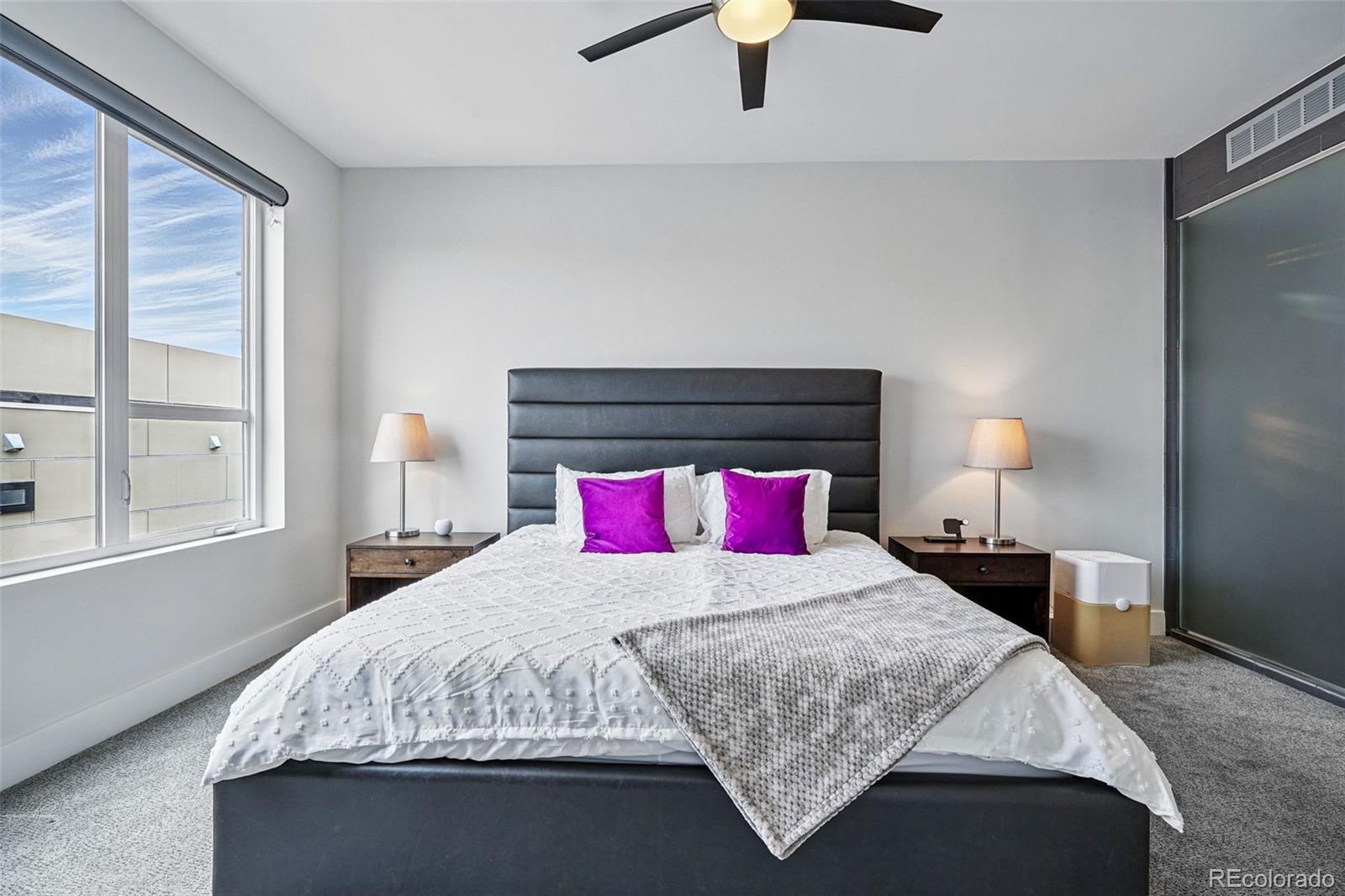 MLS Image #20 for 3444  navajo street,denver, Colorado