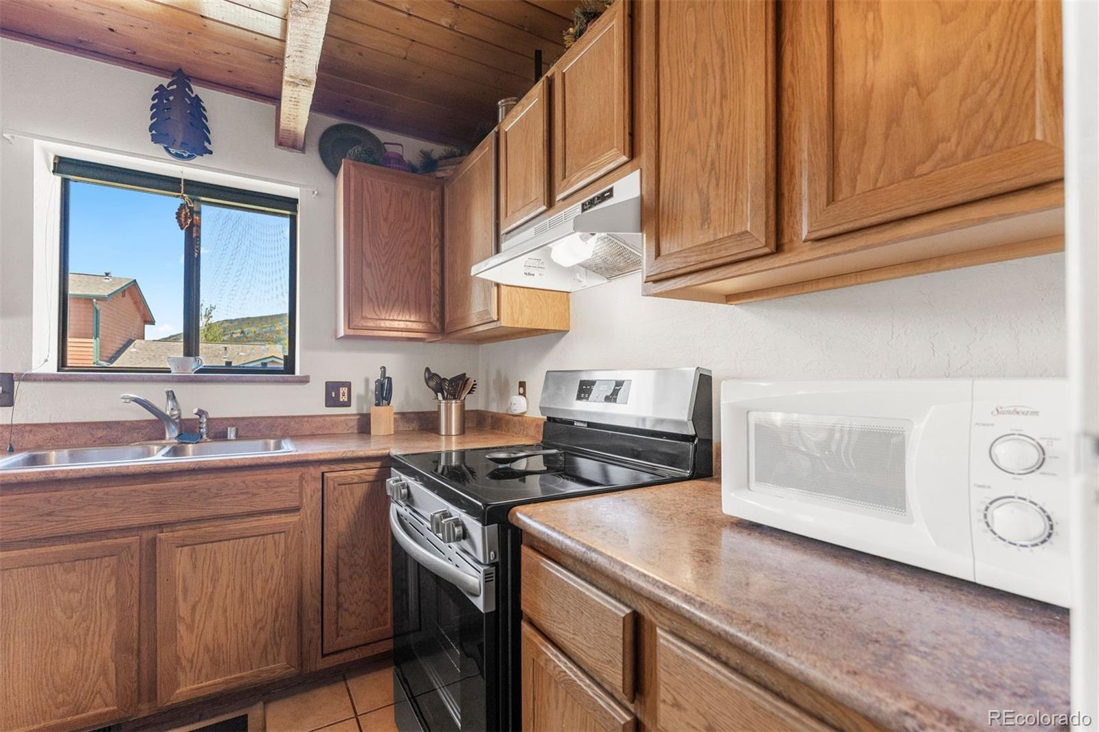 MLS Image #7 for 100  cove boulevard,dillon, Colorado