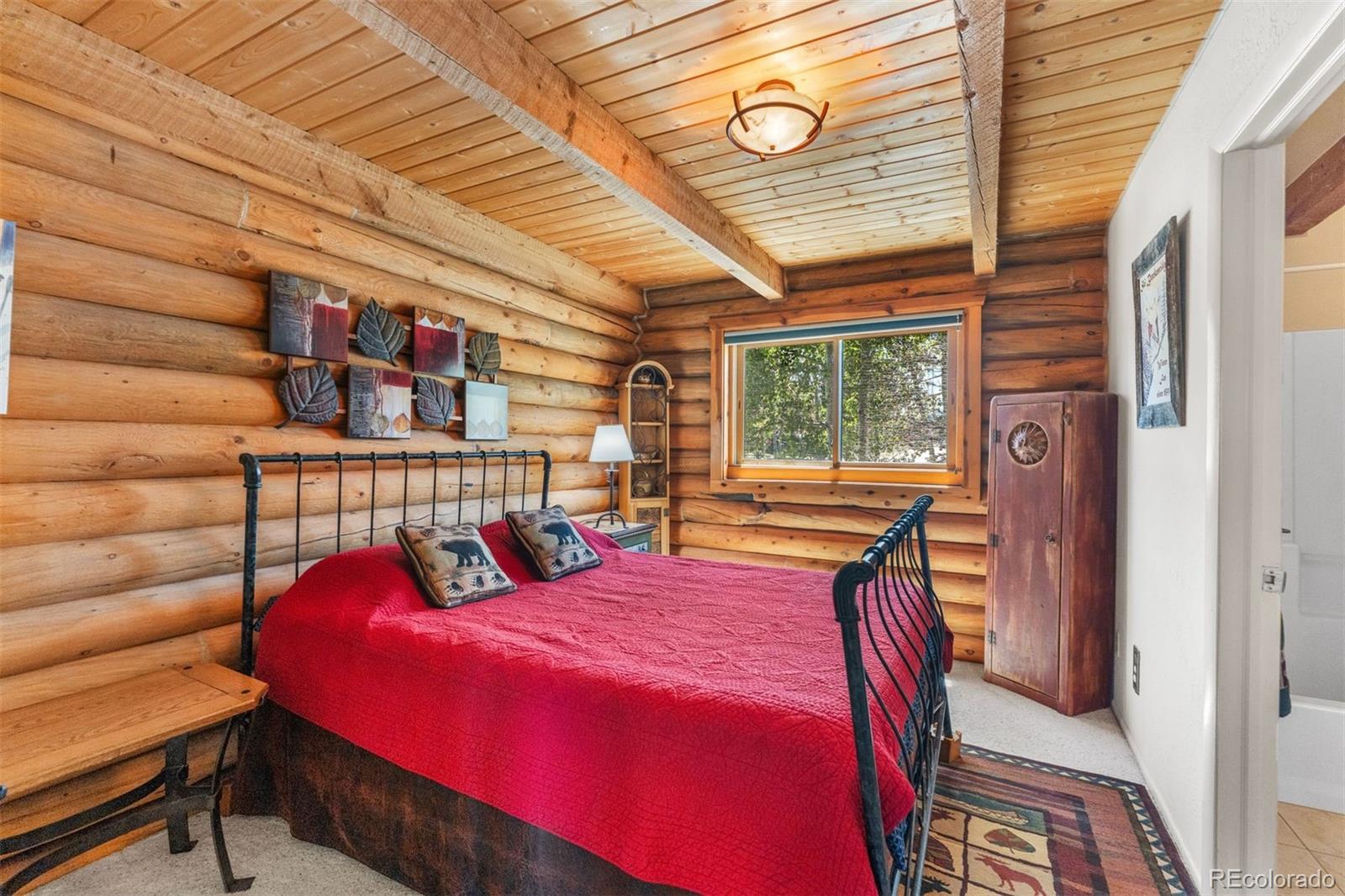 MLS Image #9 for 100  cove boulevard,dillon, Colorado
