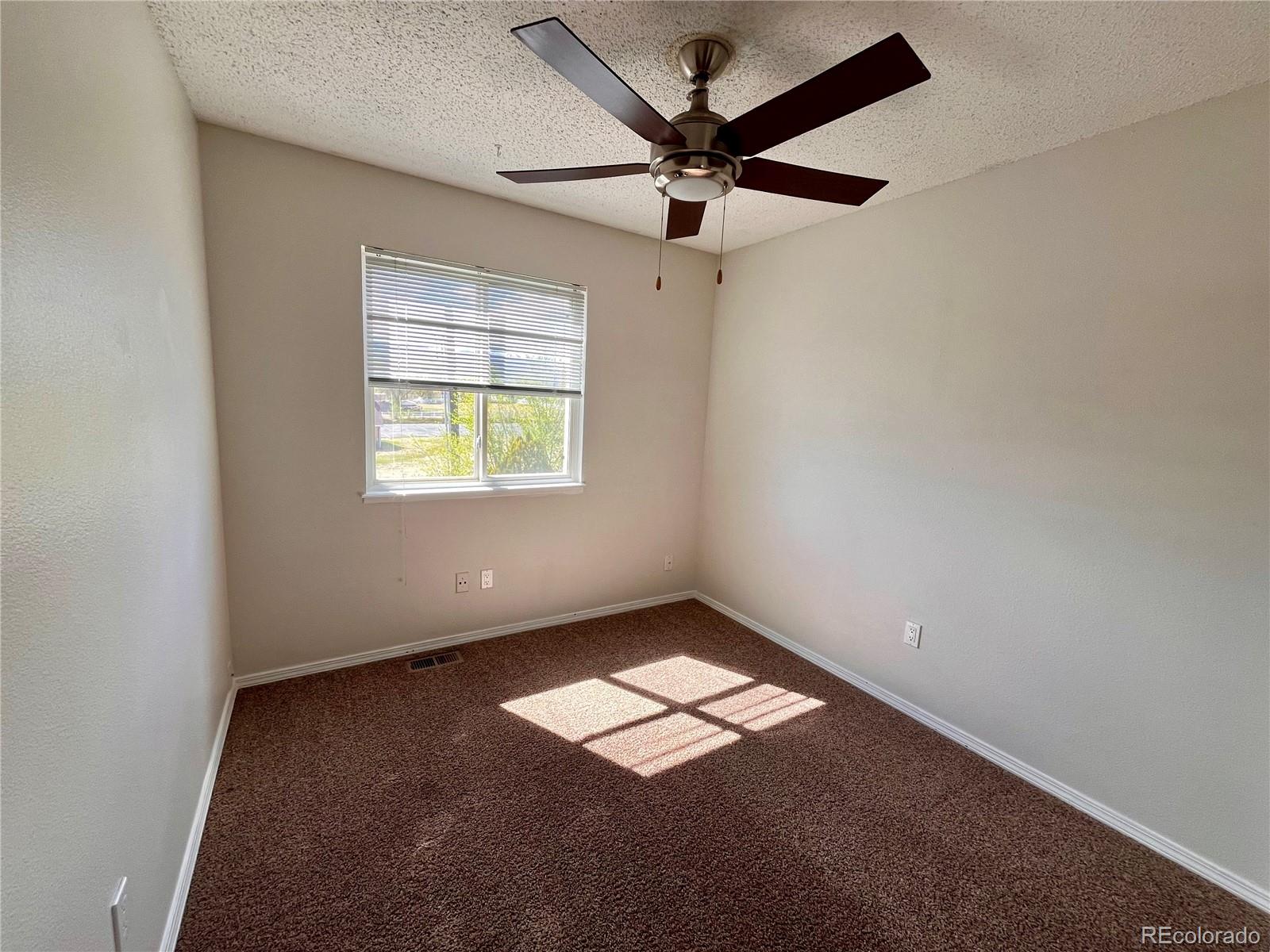 MLS Image #10 for 4378  witches hollow lane,colorado springs, Colorado