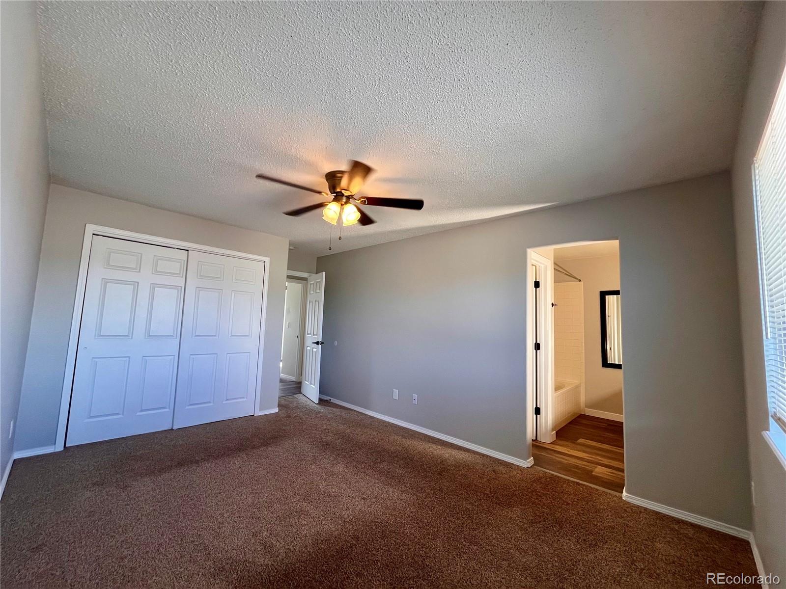 MLS Image #6 for 4378  witches hollow lane,colorado springs, Colorado