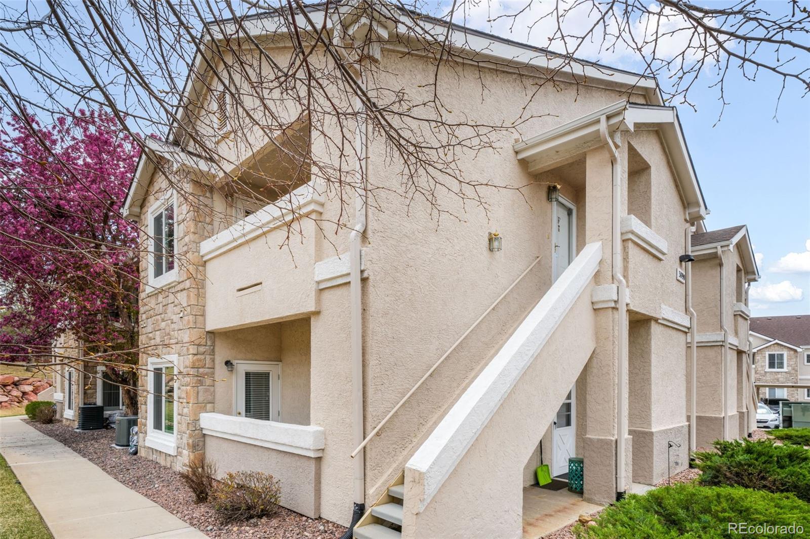 MLS Image #5 for 3890  strawberry field grove,colorado springs, Colorado
