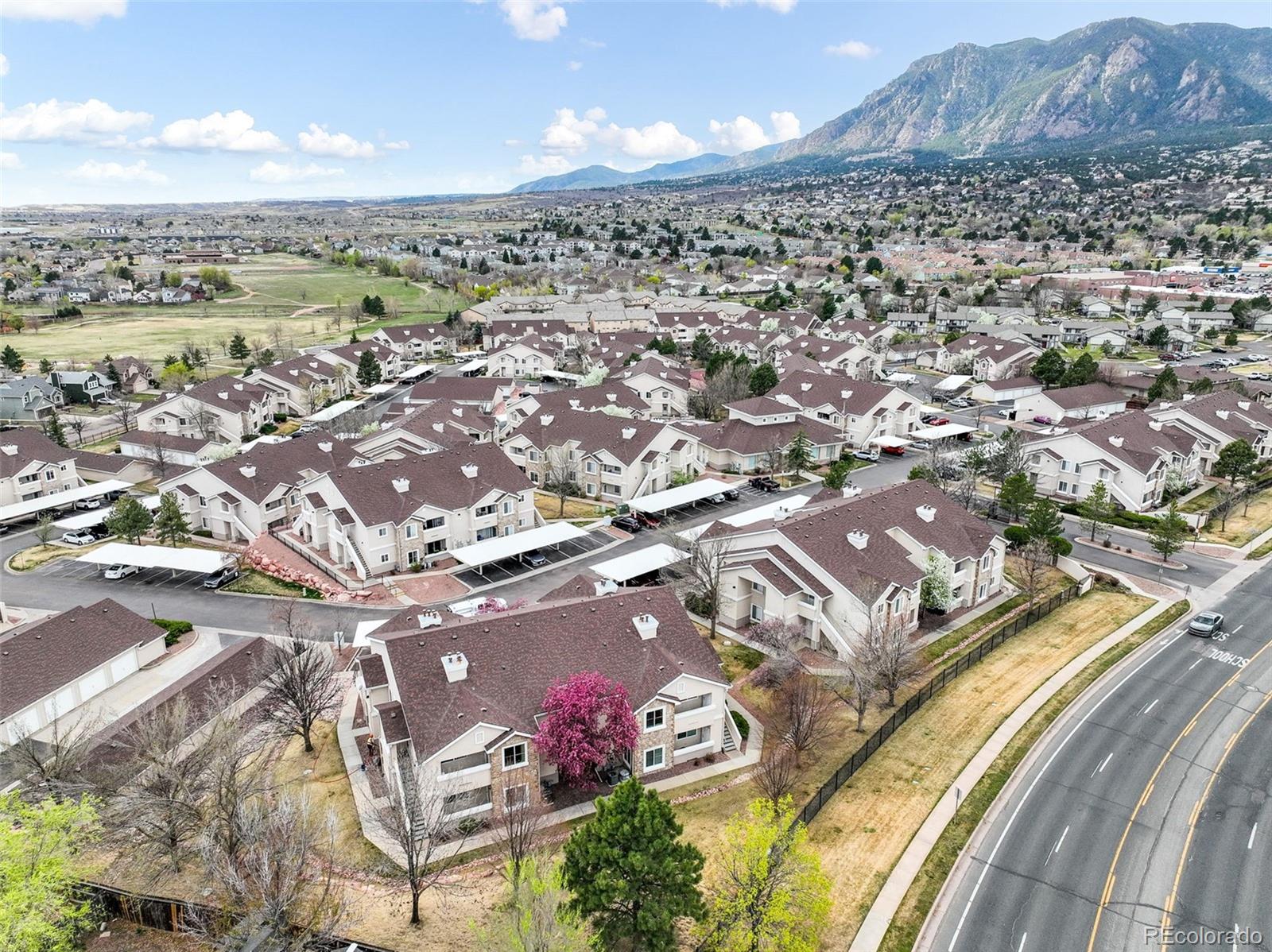 MLS Image #6 for 3890  strawberry field grove,colorado springs, Colorado