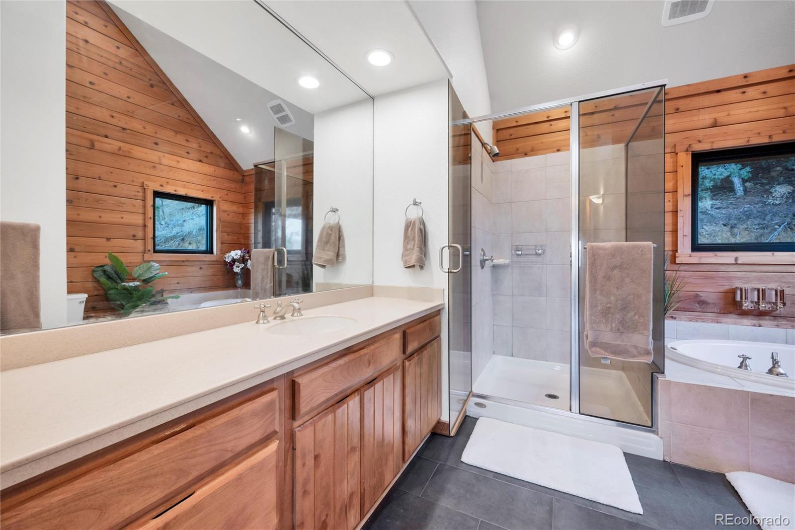 MLS Image #15 for 1055  saddleback drive,evergreen, Colorado