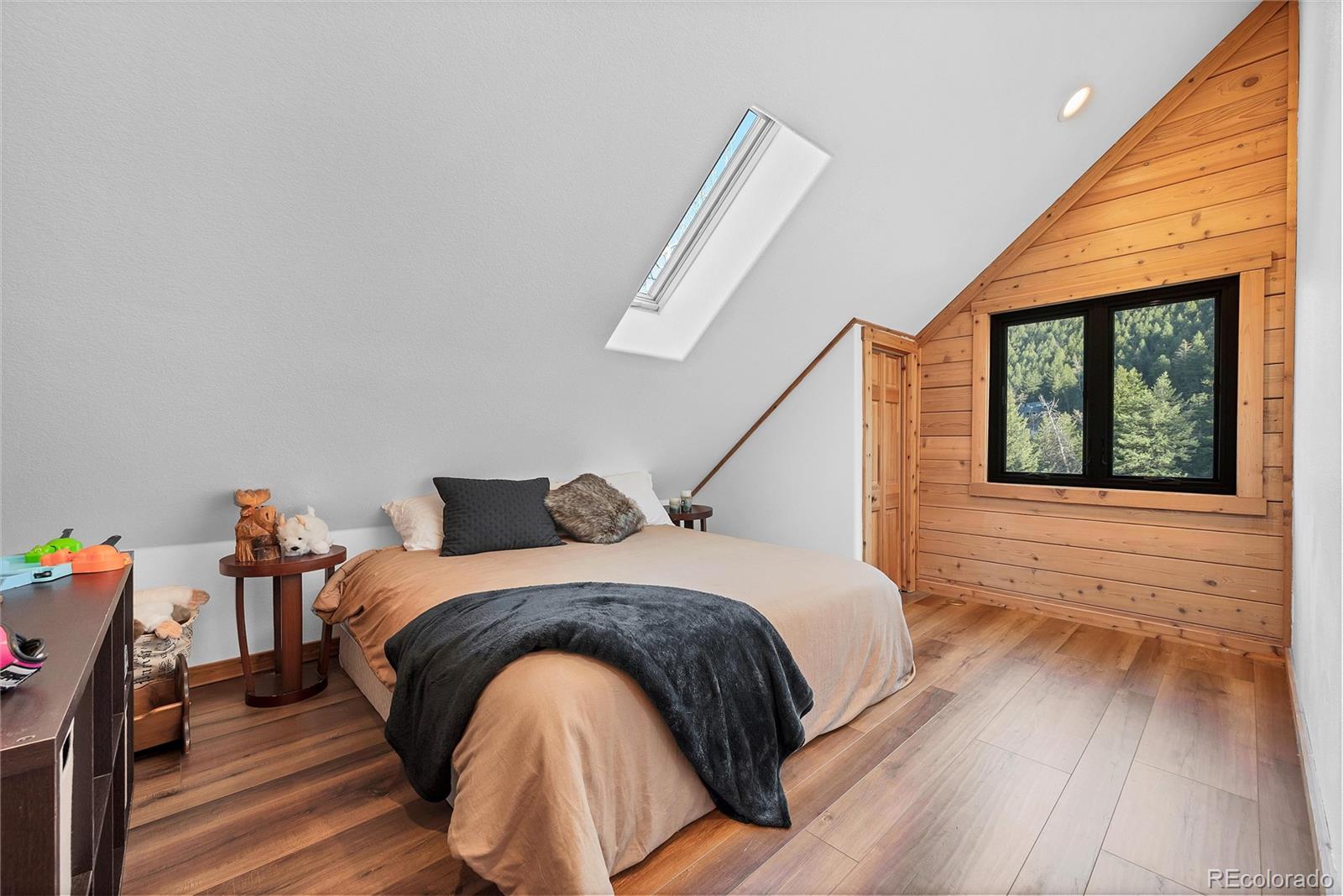 MLS Image #23 for 1055  saddleback drive,evergreen, Colorado