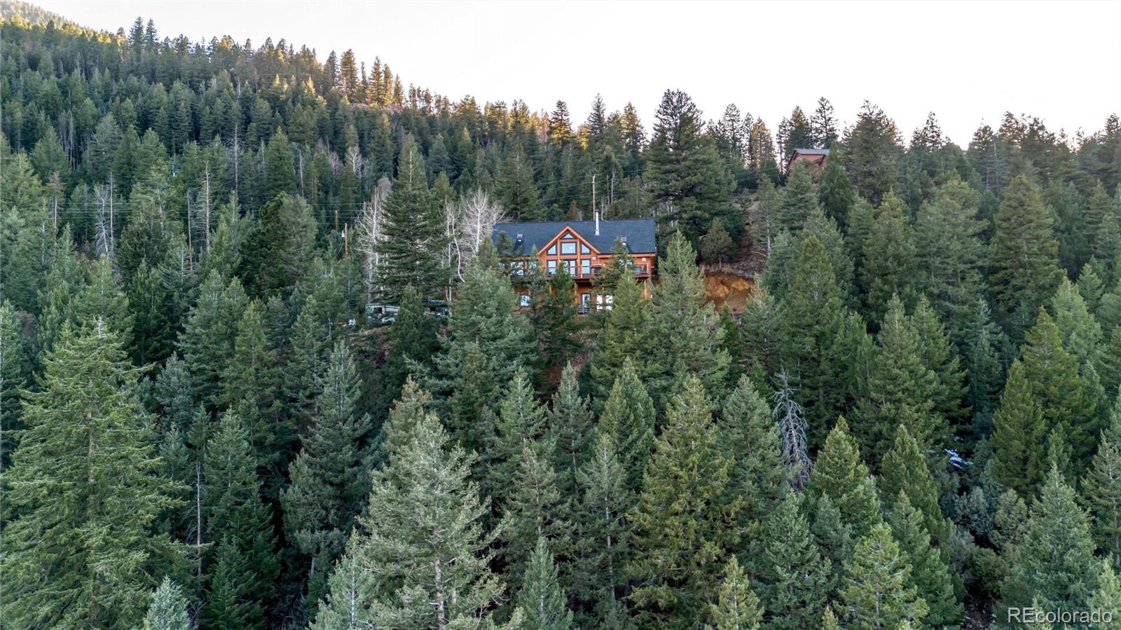 MLS Image #37 for 1055  saddleback drive,evergreen, Colorado