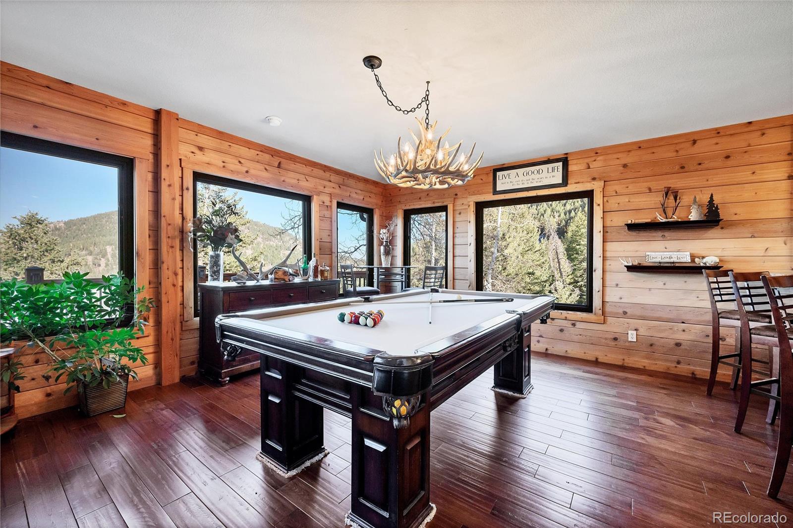 MLS Image #7 for 1055  saddleback drive,evergreen, Colorado