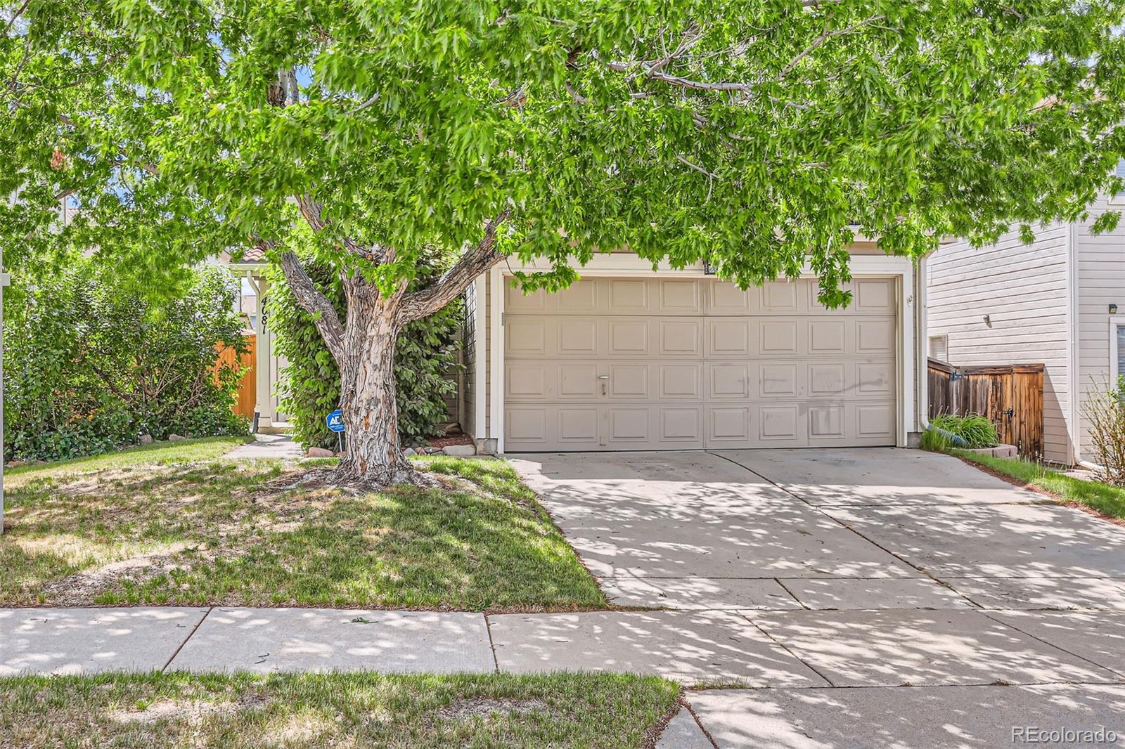 MLS Image #3 for 4081  odessa street,denver, Colorado