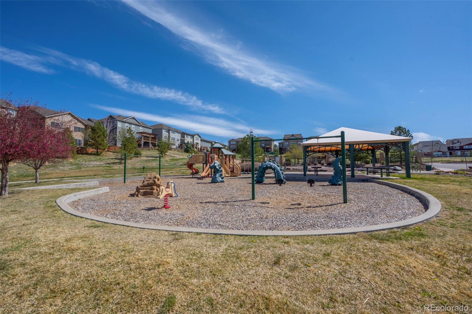 MLS Image #33 for 20857  game trail,parker, Colorado