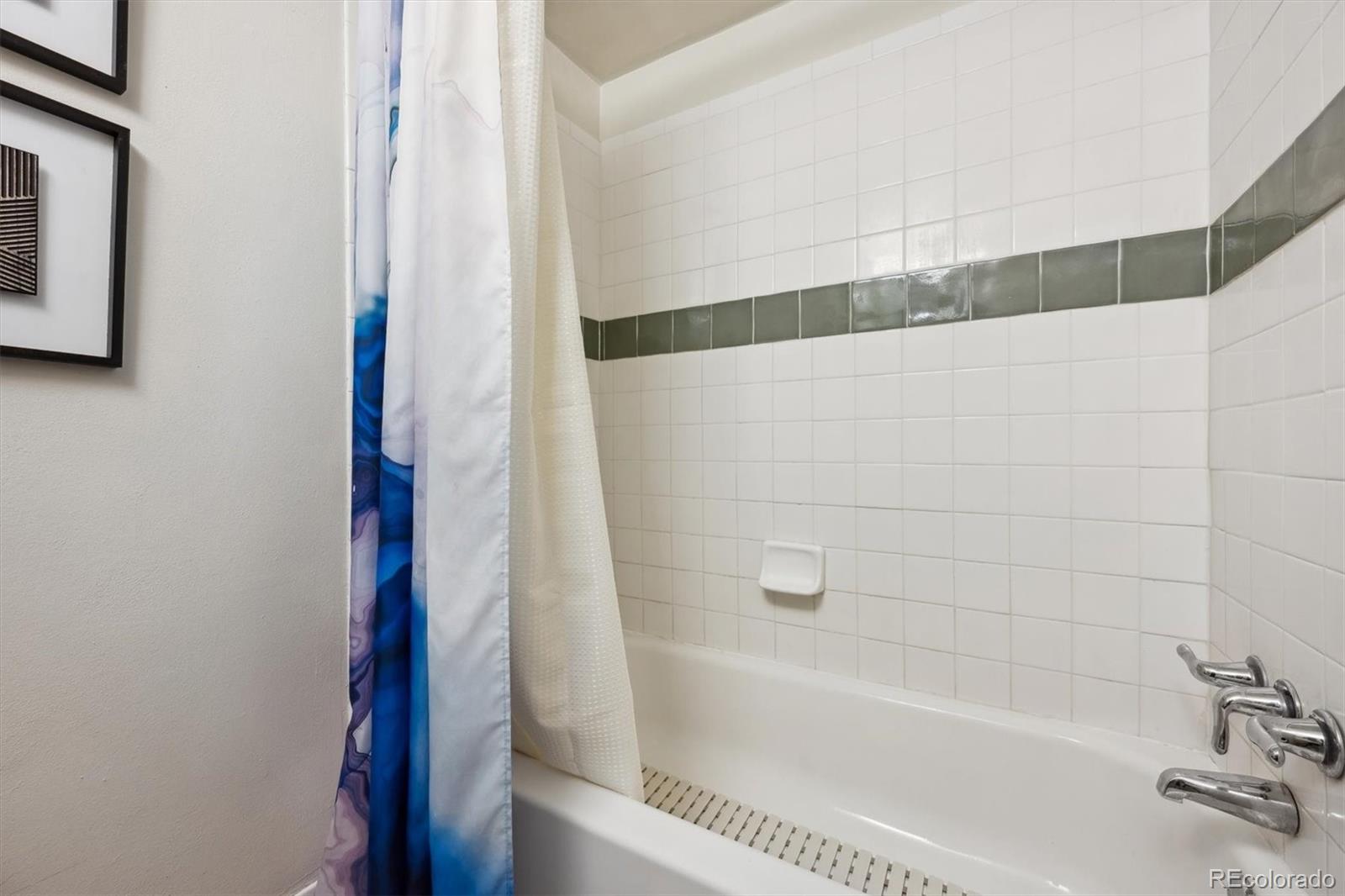 MLS Image #20 for 1265  elizabeth street,denver, Colorado