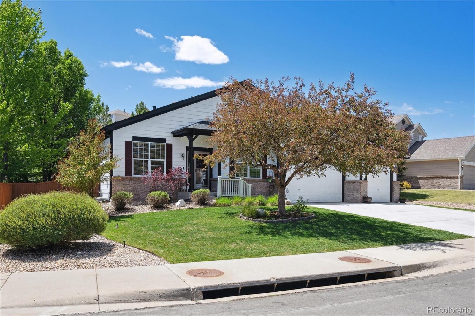 MLS Image #2 for 1488  baguette drive,castle rock, Colorado