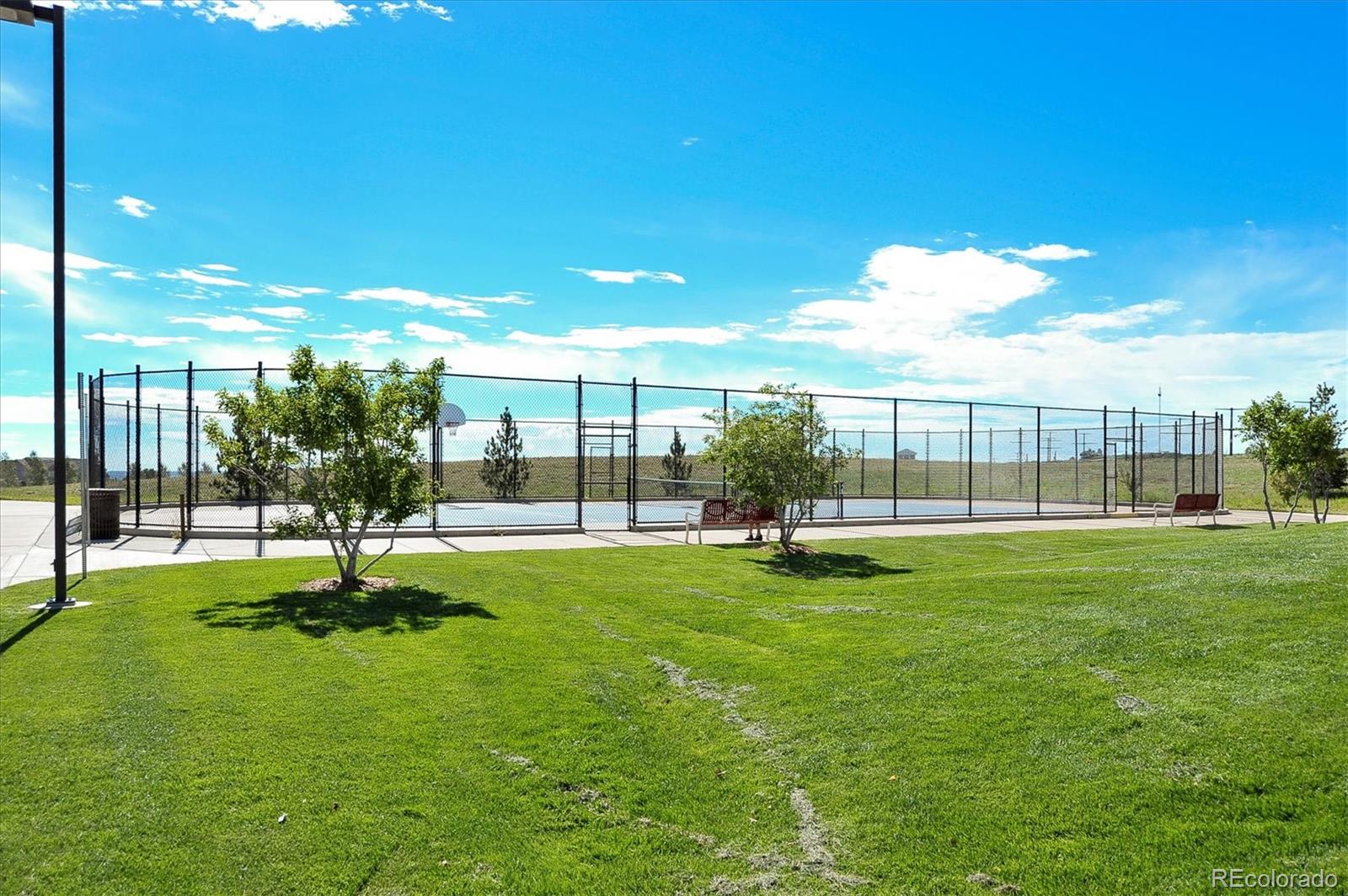 MLS Image #41 for 1488  baguette drive,castle rock, Colorado