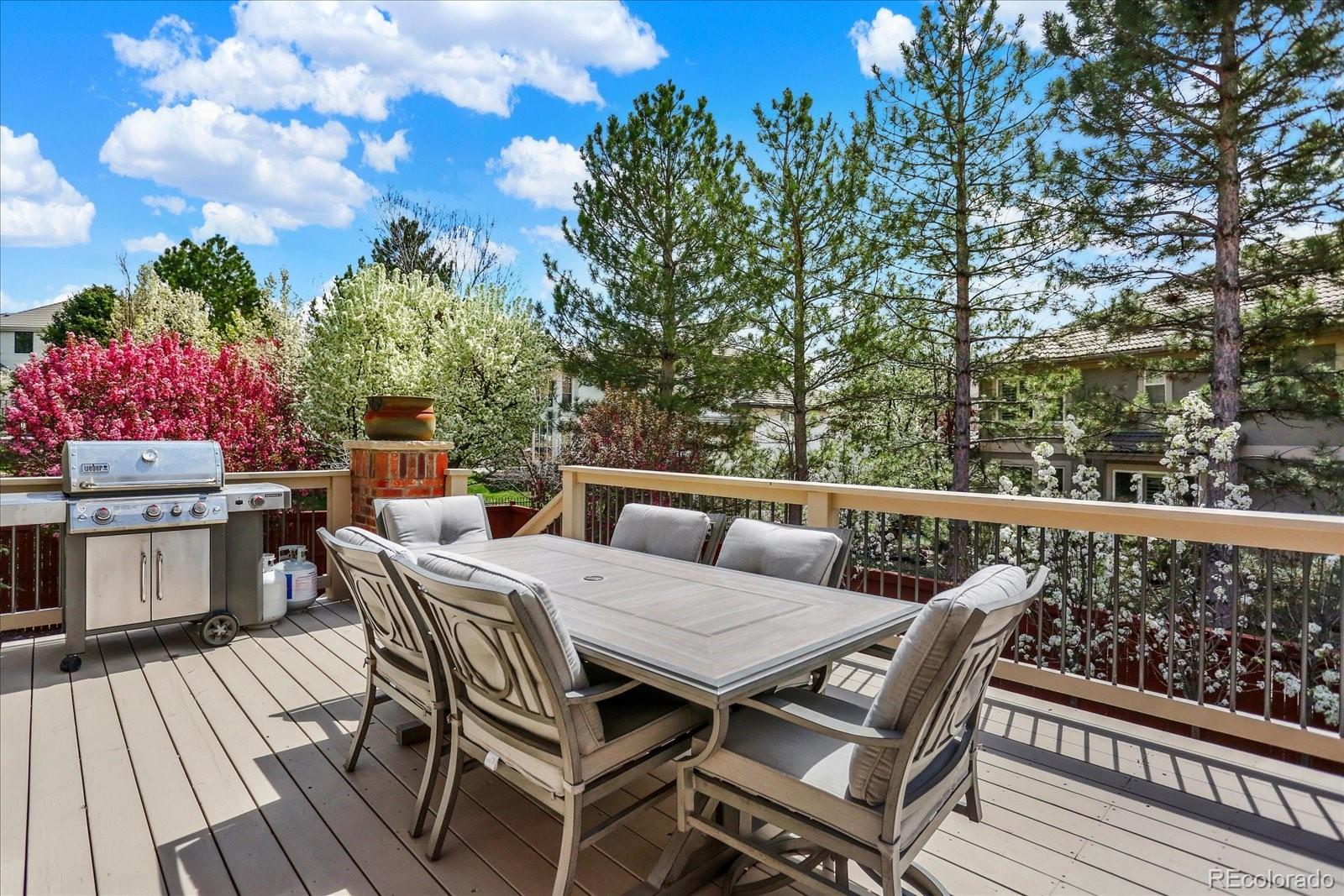 MLS Image #44 for 9164 e lost hill trail,lone tree, Colorado