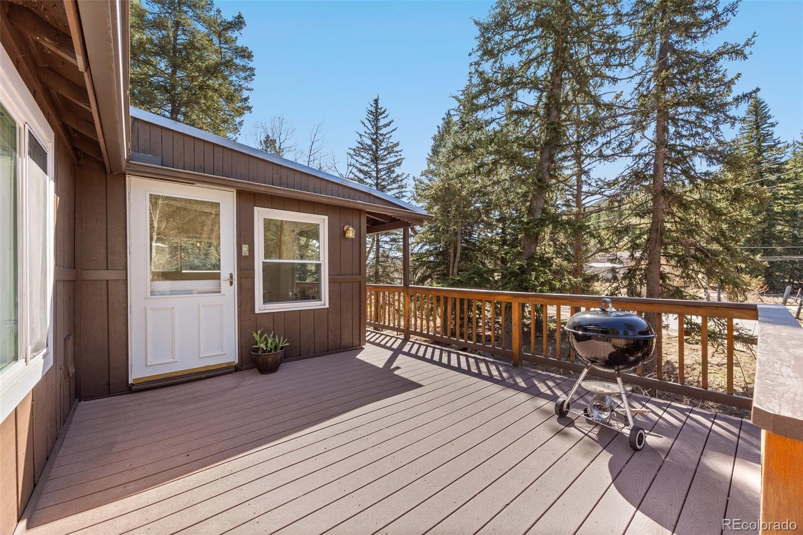 MLS Image #18 for 10179 s turkey creek road,morrison, Colorado